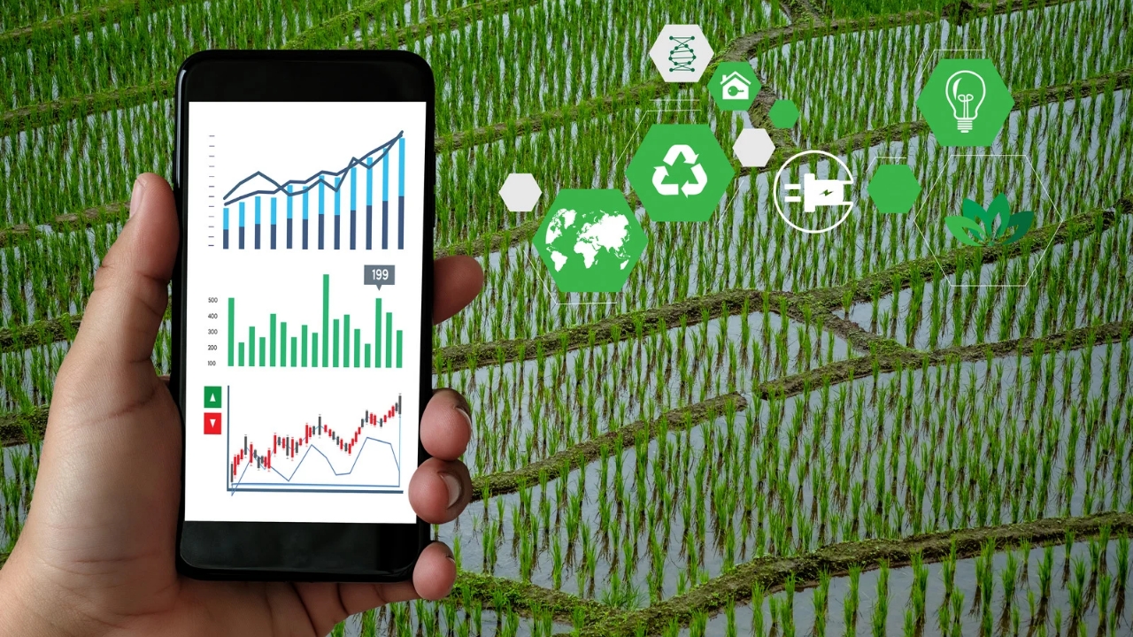 Manset Tasarim Kopyası 20251005 225615 0000