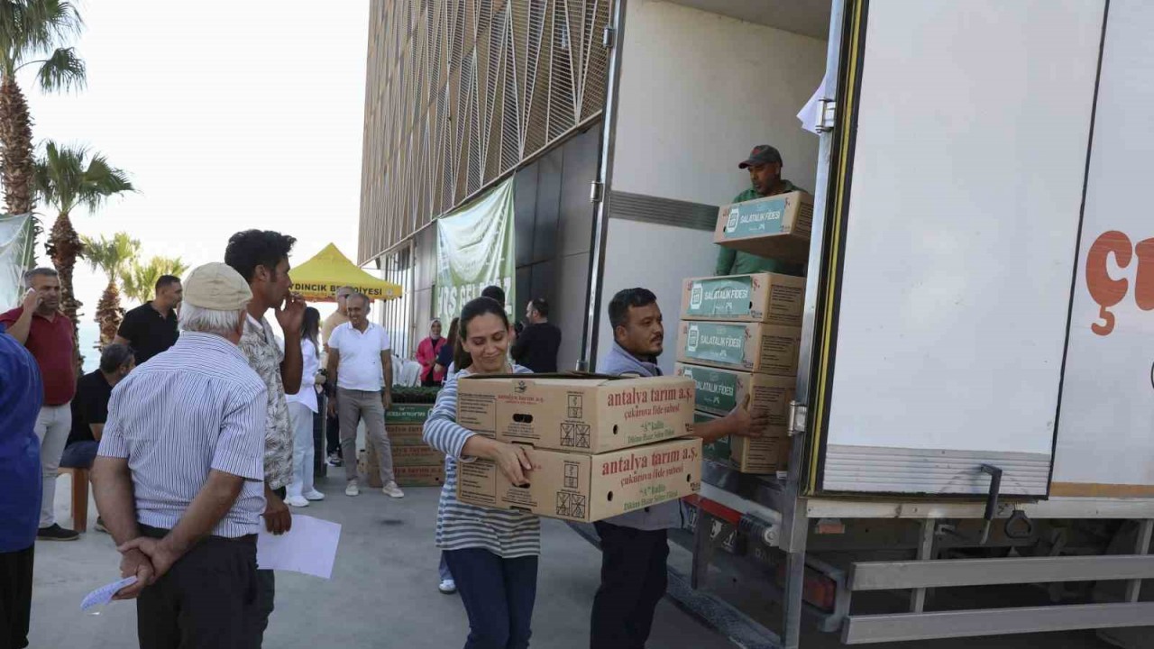 Mersin'de Üreticiye Çifte Destek Hıyar Fidesi Ve Güneş Paneli