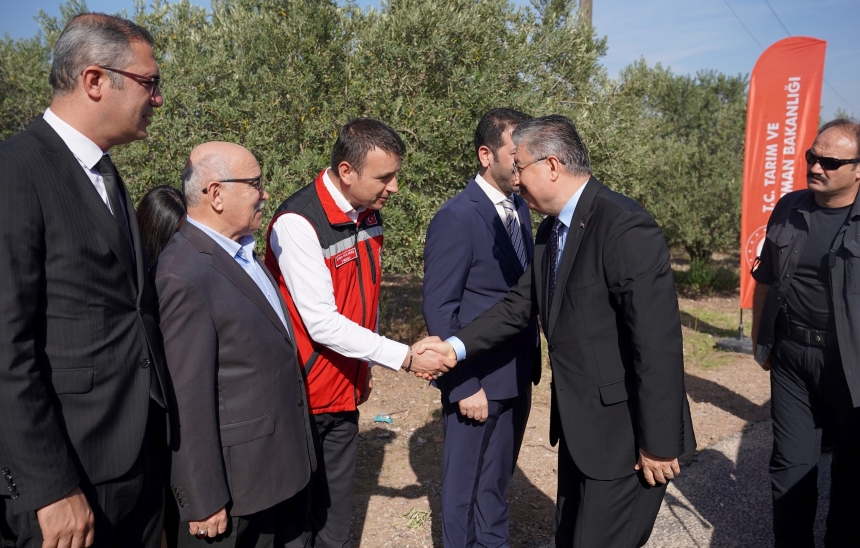 Osmaniye’de Zeytin Hasadı (1)-1