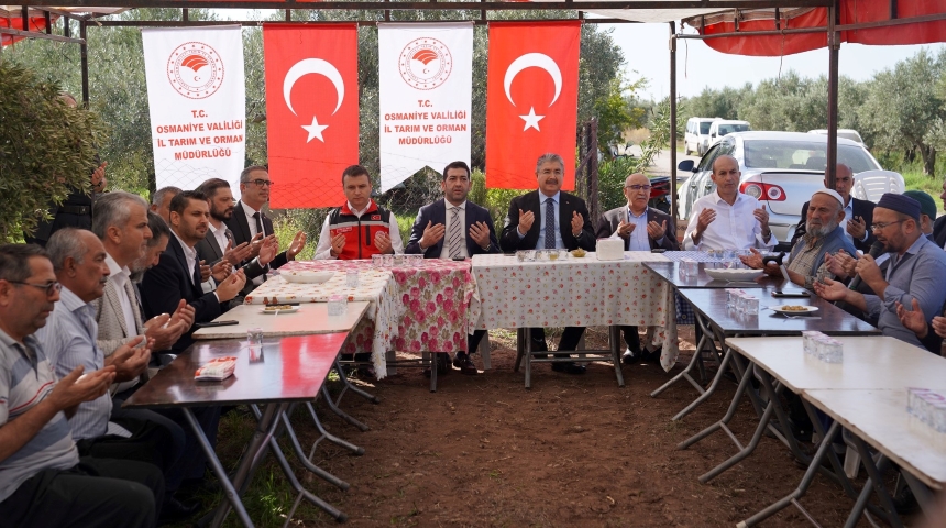 Osmaniye’de Zeytin Hasadı (3)-1