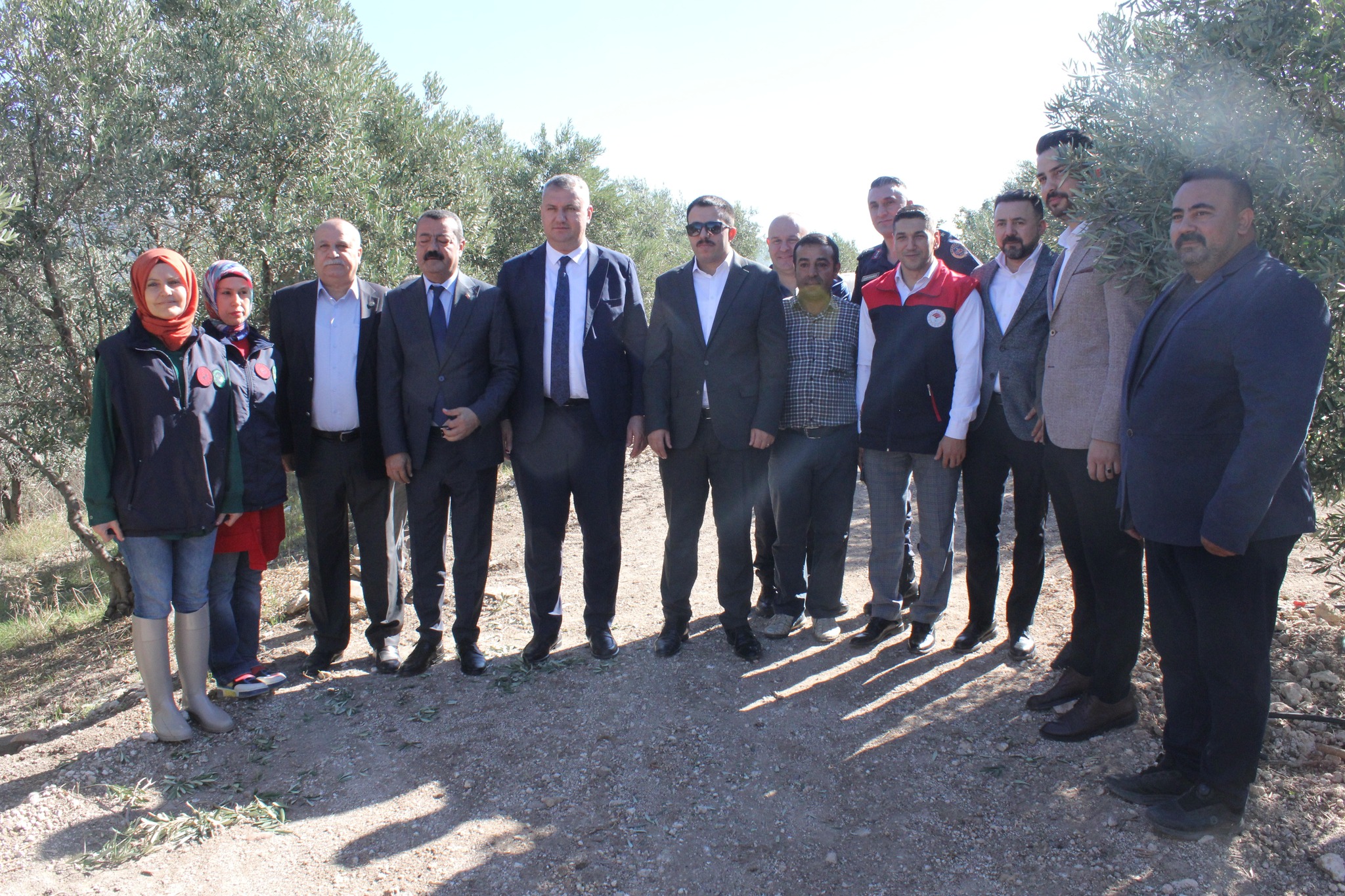 Osmaniye’de Zeytin Hasadı (4)