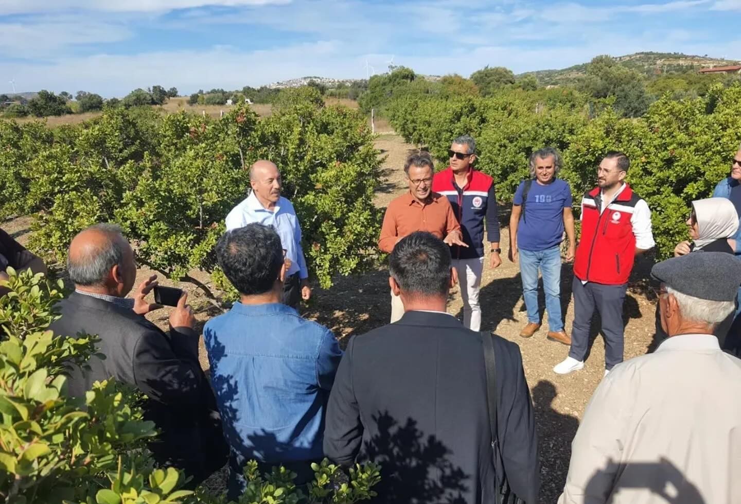 Sakız Ağacı Yetiştiriciliği (3)