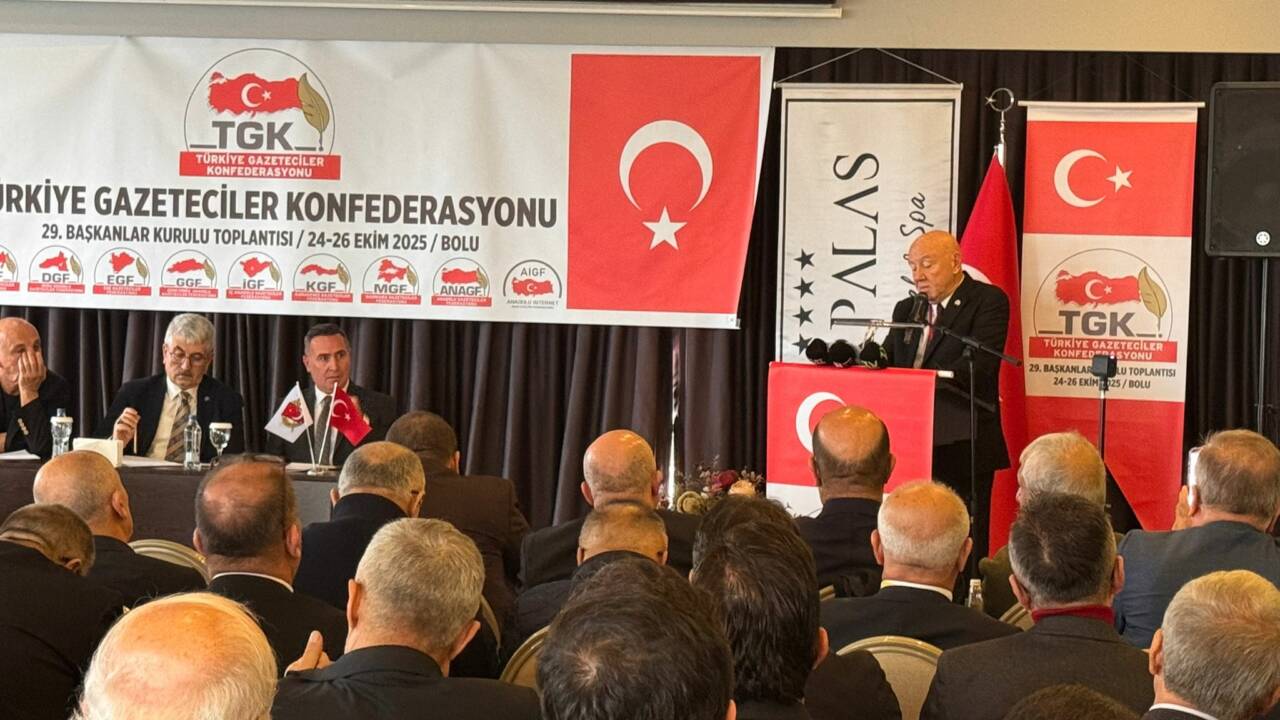 Türkiye Gazeteciler Konfederasyonu (2)