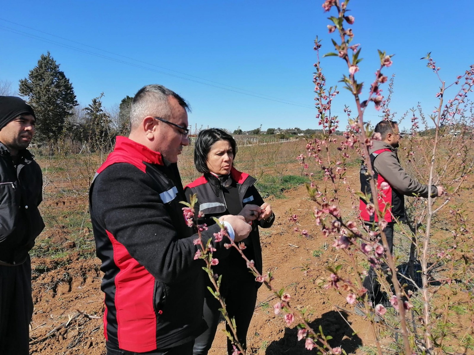 Zirai Don Mağduru Adanalı Çiftçilere Müjde (4)