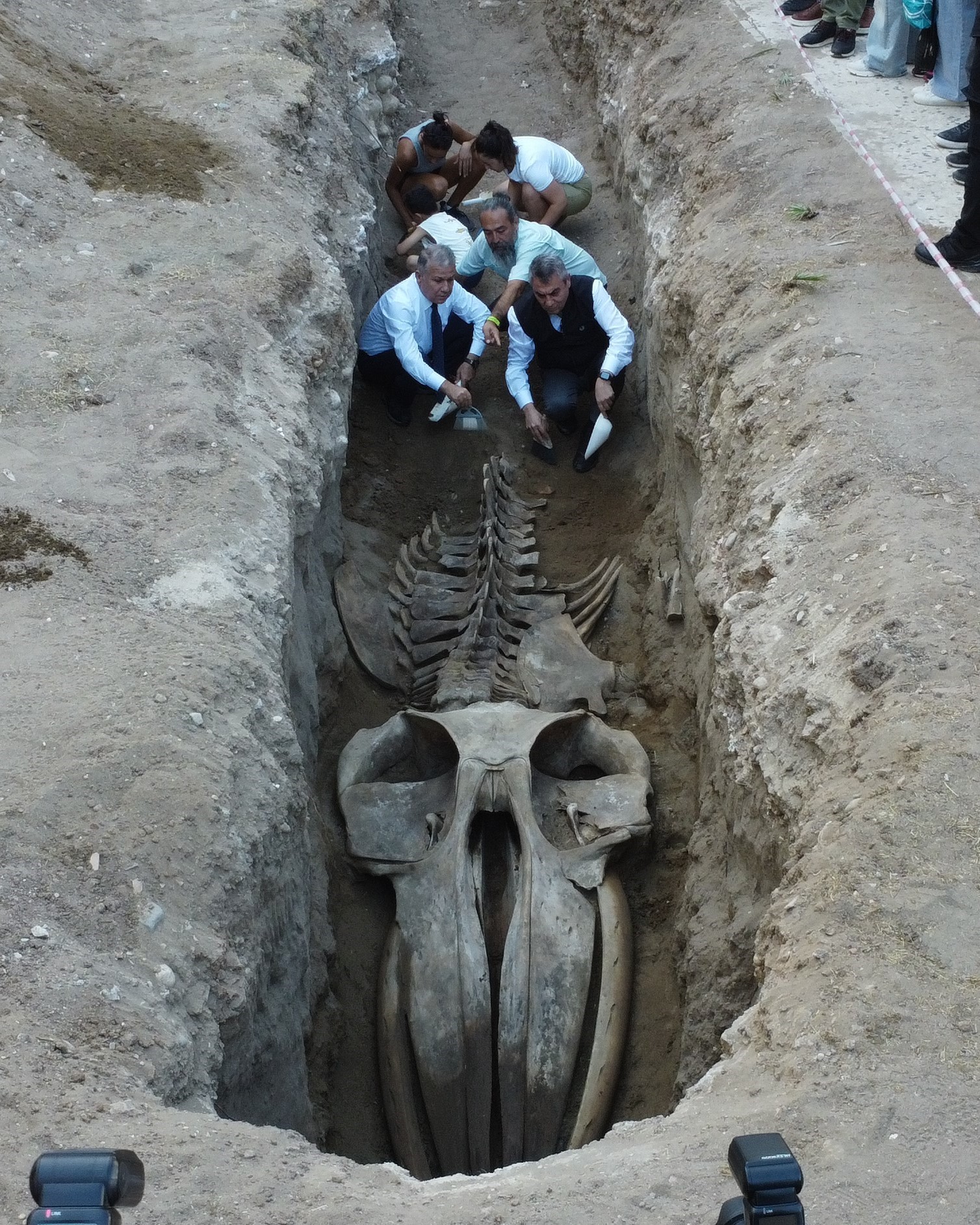 16 Metrelik Fin Balinası (2)