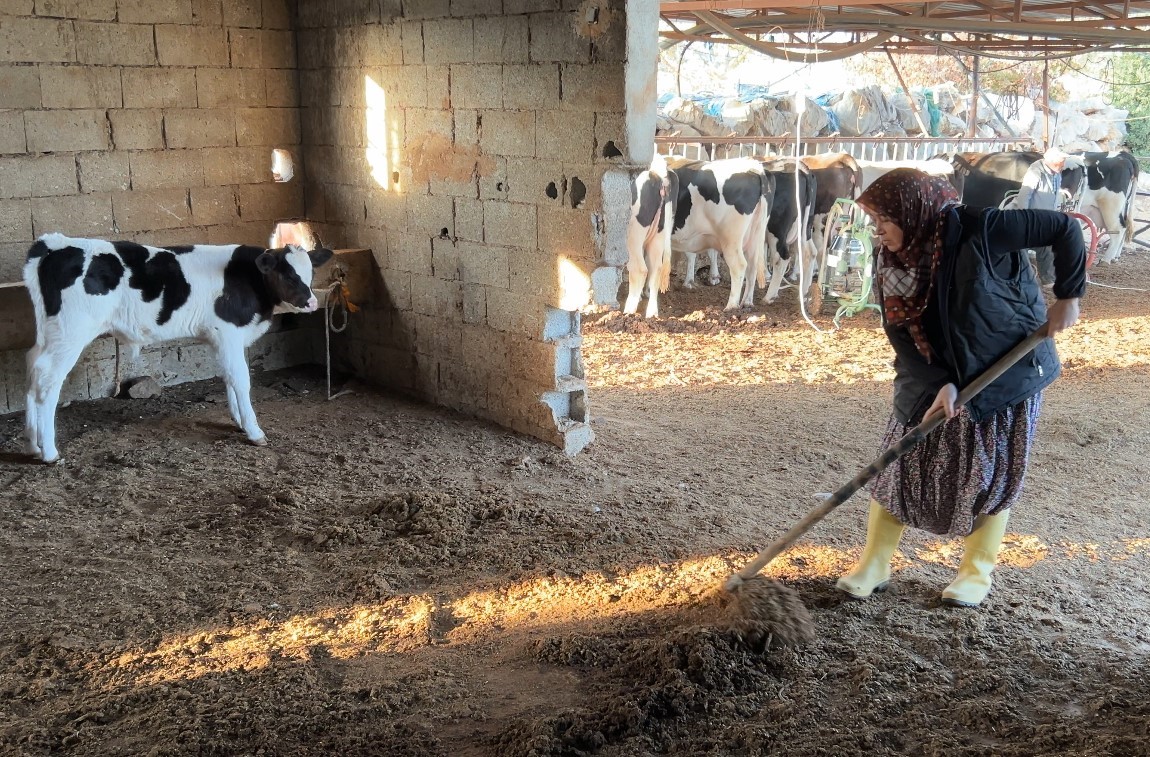 45 Yaşındaki Habibe'nin Yüksek Lisans Hedefi (3)