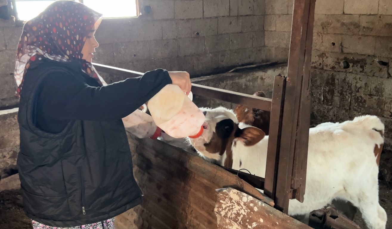 45 Yaşındaki Habibe'nin Yüksek Lisans Hedefi (4)