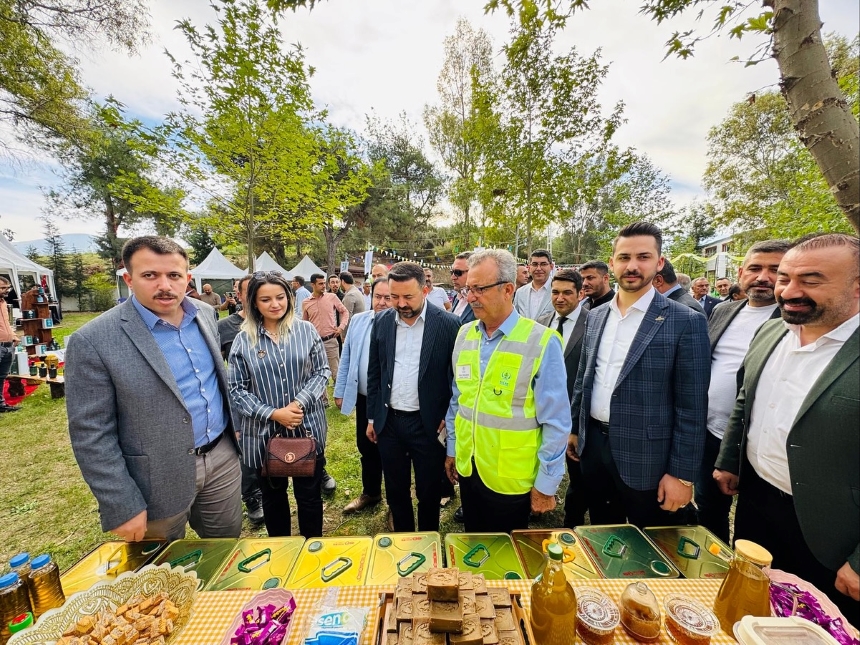 yeşil altın zeytin