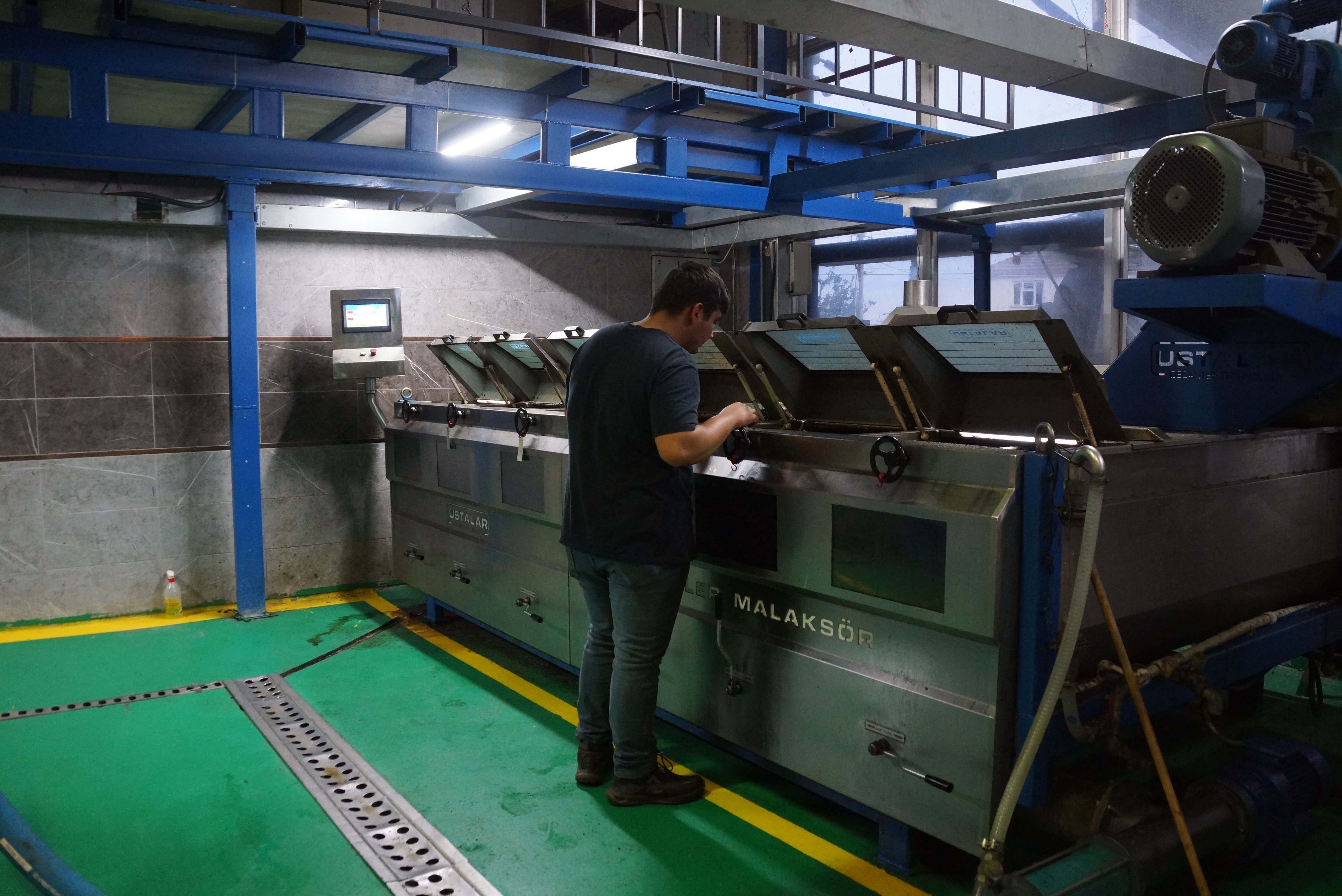 Aydın Zeytininde 'Yok Yılı' Sevinci: Yağ Oranı Rekor KırdıI