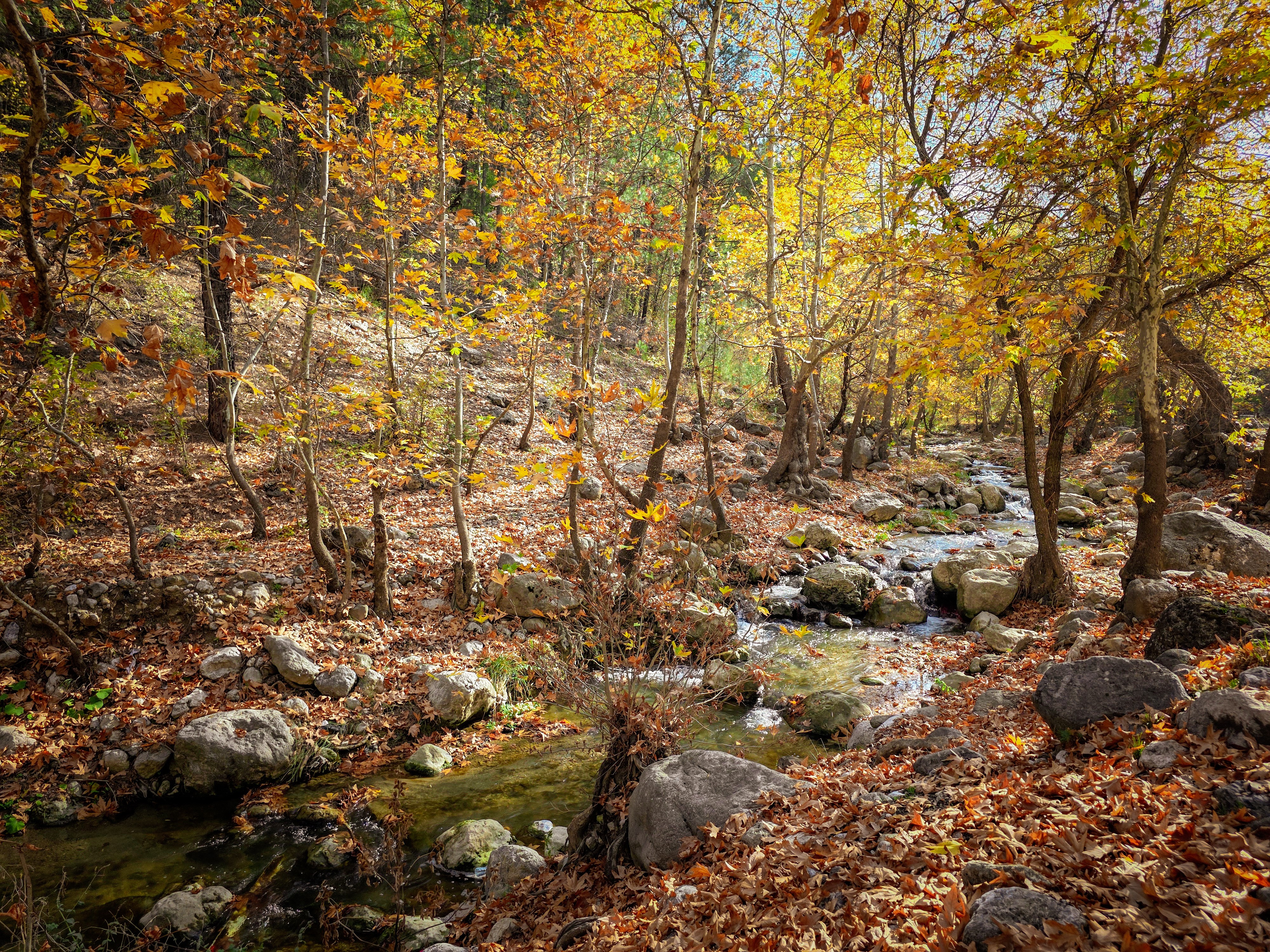 Adana'da Sonbaharın Gözdesi; Belemedik Tabiat Parkı (1)