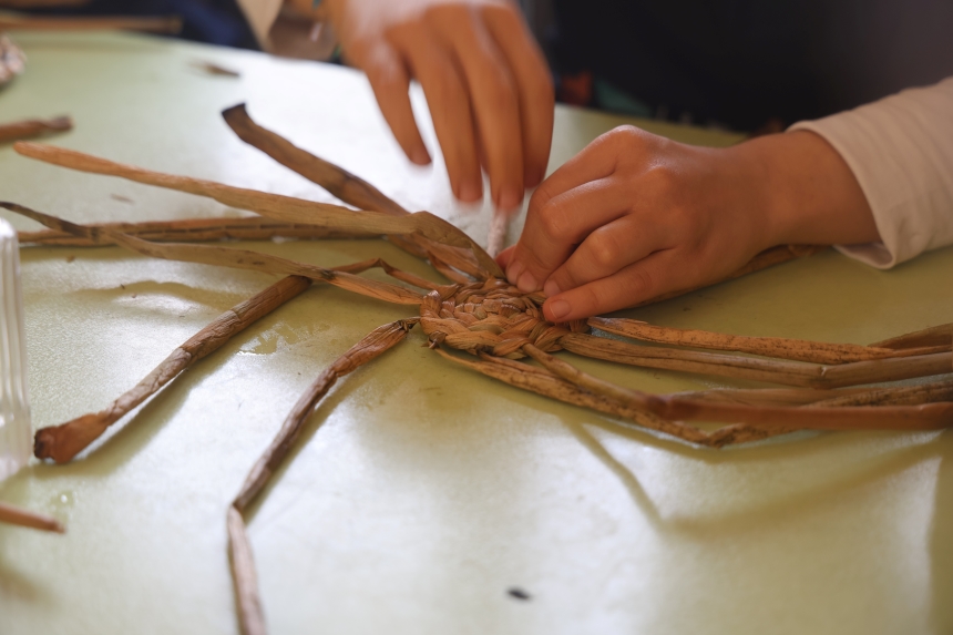 Asi’nin Sessiz Tehdidi, Kadınların Umut Kapısına Dönüştü (3)