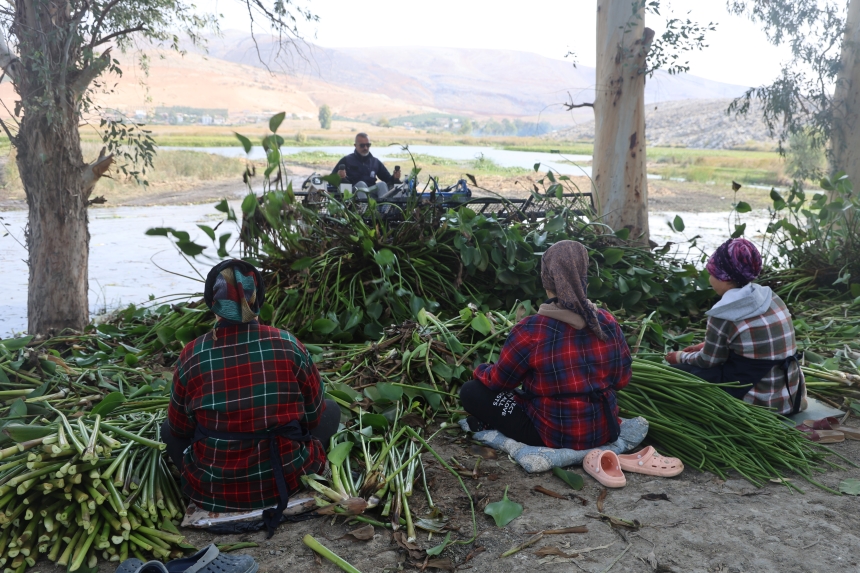 Asi’nin Sessiz Tehdidi, Kadınların Umut Kapısına Dönüştü (5)