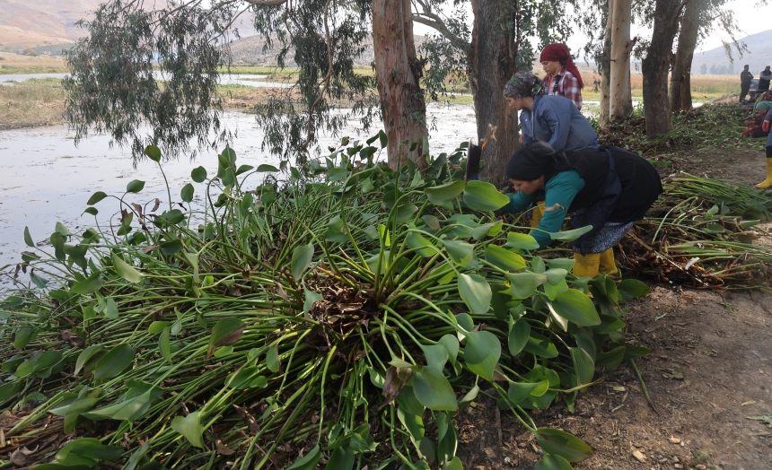 Asi’nin Sessiz Tehdidi, Kadınların Umut Kapısına Dönüştü (6)