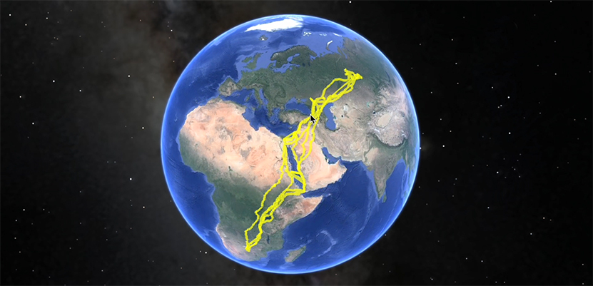 Bozkır Şahini 28 Ülke Gezdi2