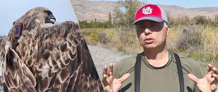 Bozkır Şahini 28 Ülke Gezdi3