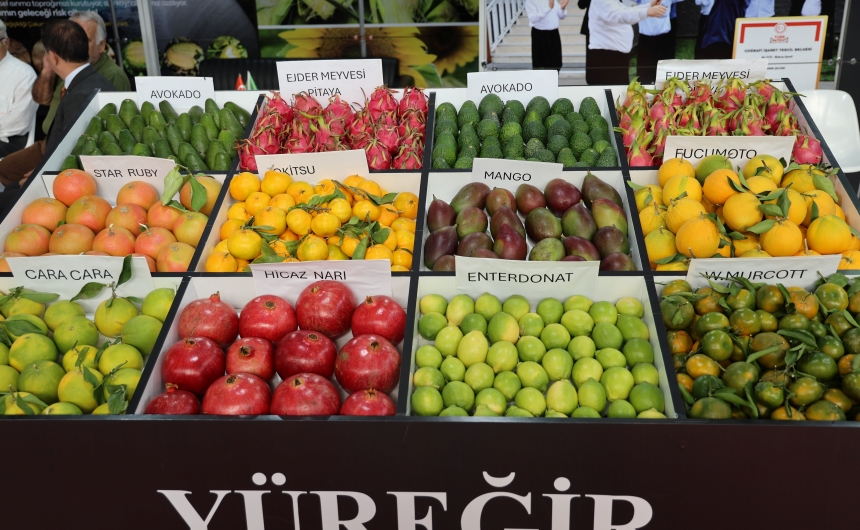 Çukurova Toprakları Pamuk Devrinden Tropik Döneme (1)