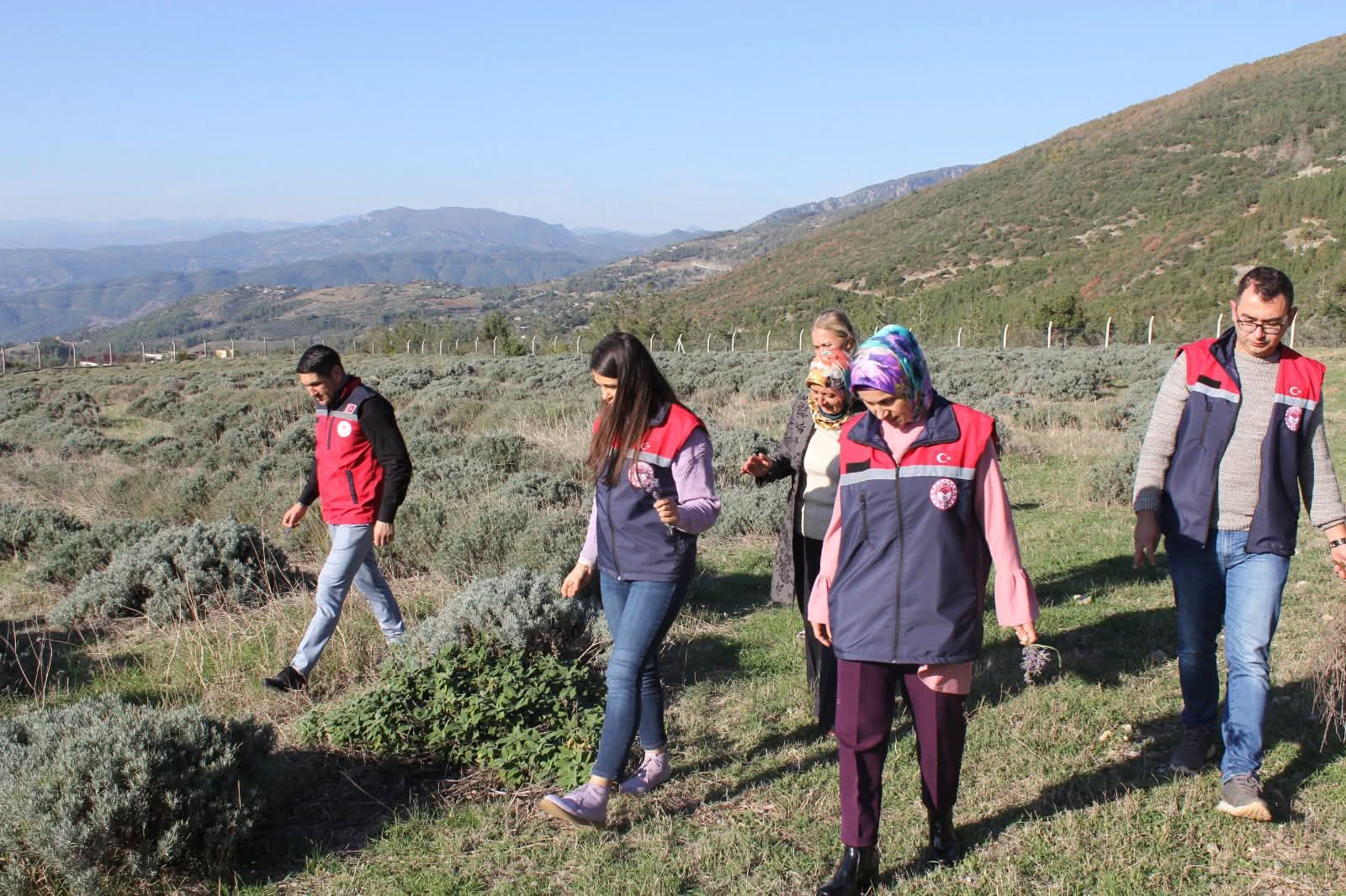 F B I M G 1763888277954