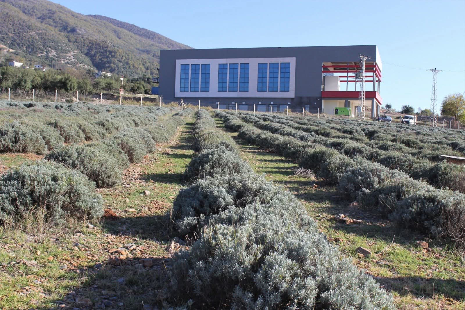 F B I M G 1763888286255