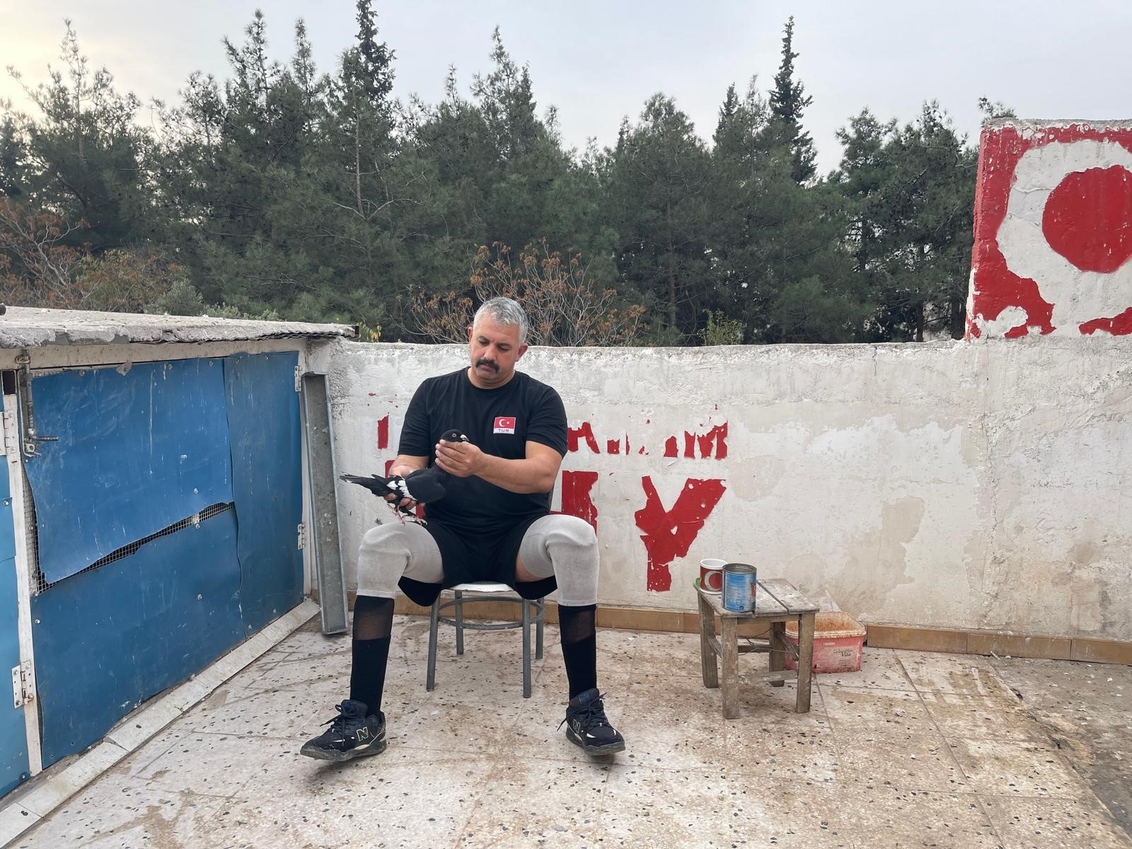 Hayata Güvercin Sevgisiyle Tutundu (1)