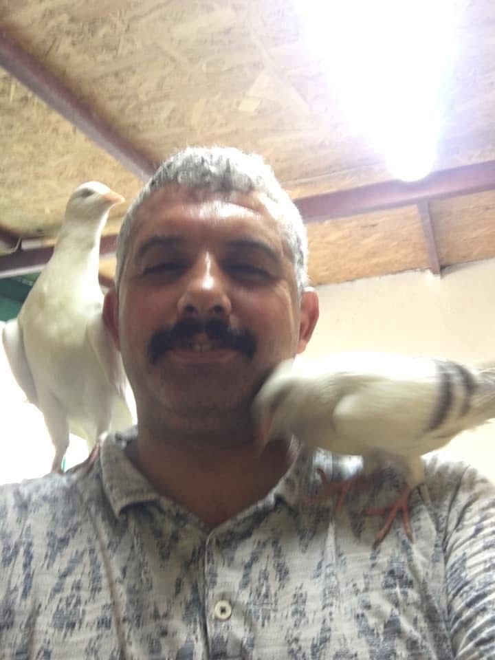 Hayata Güvercin Sevgisiyle Tutundu (4)