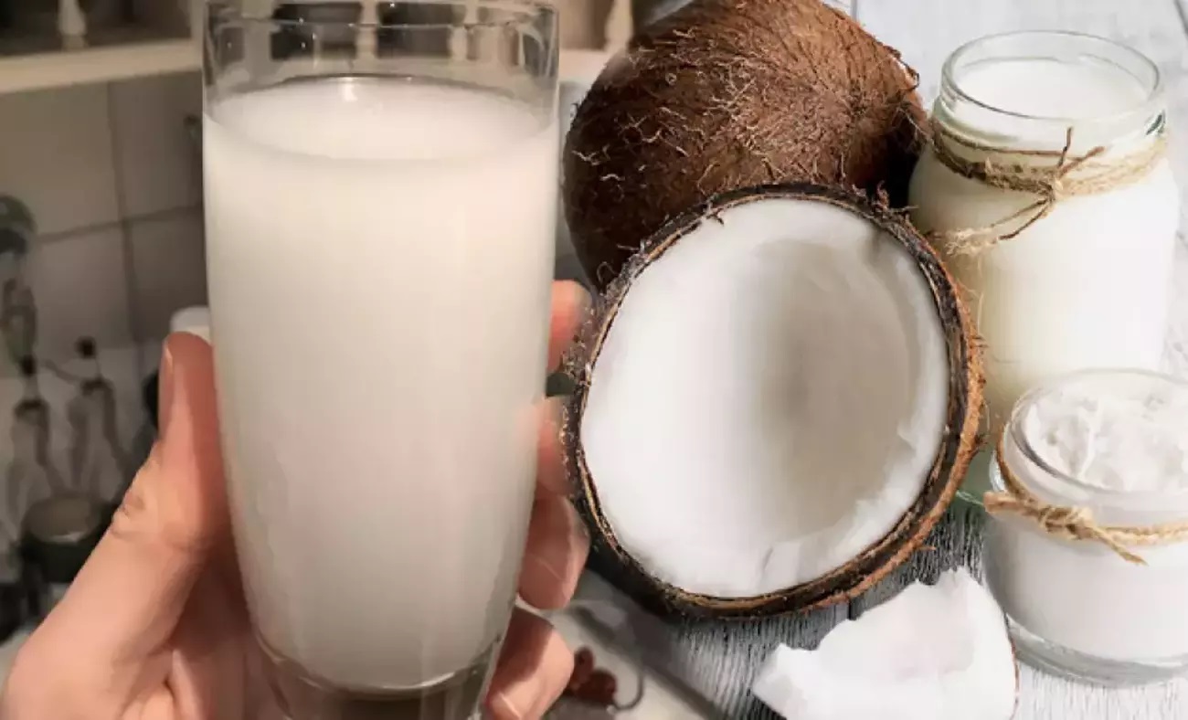 Hindistan Cevizi (2)