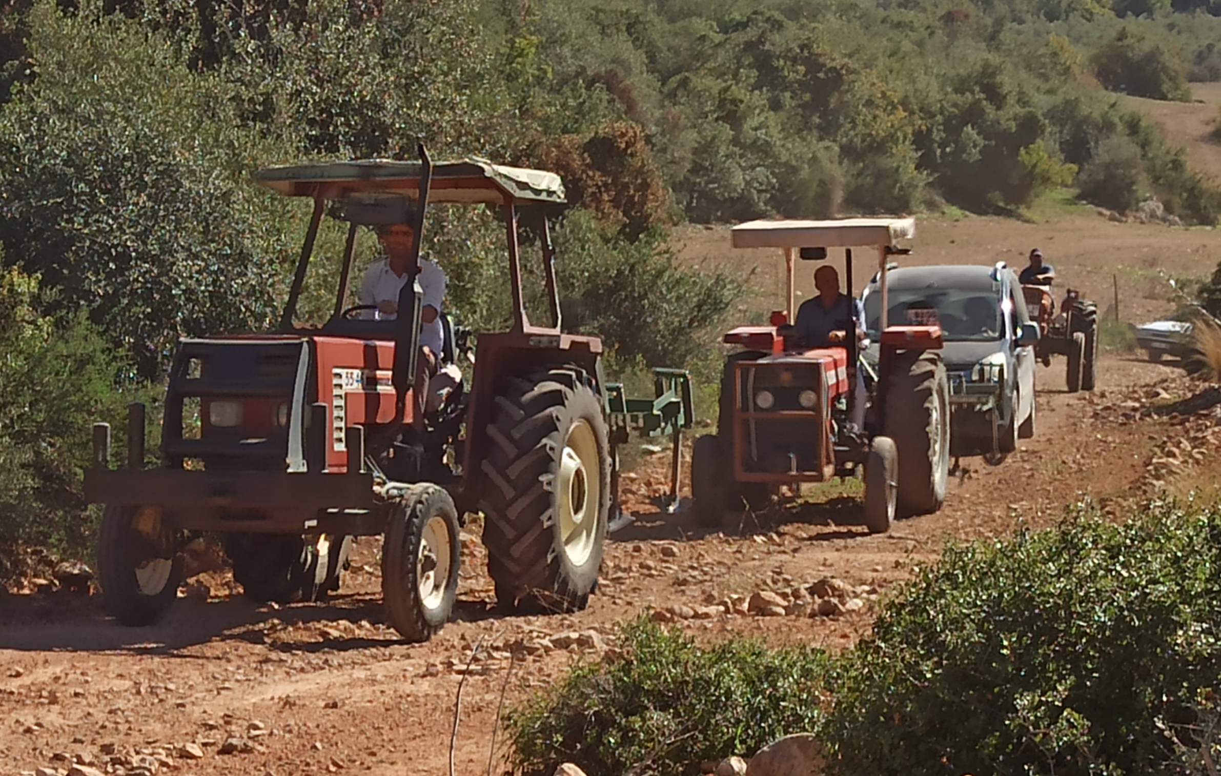 I M G 20251101 124033