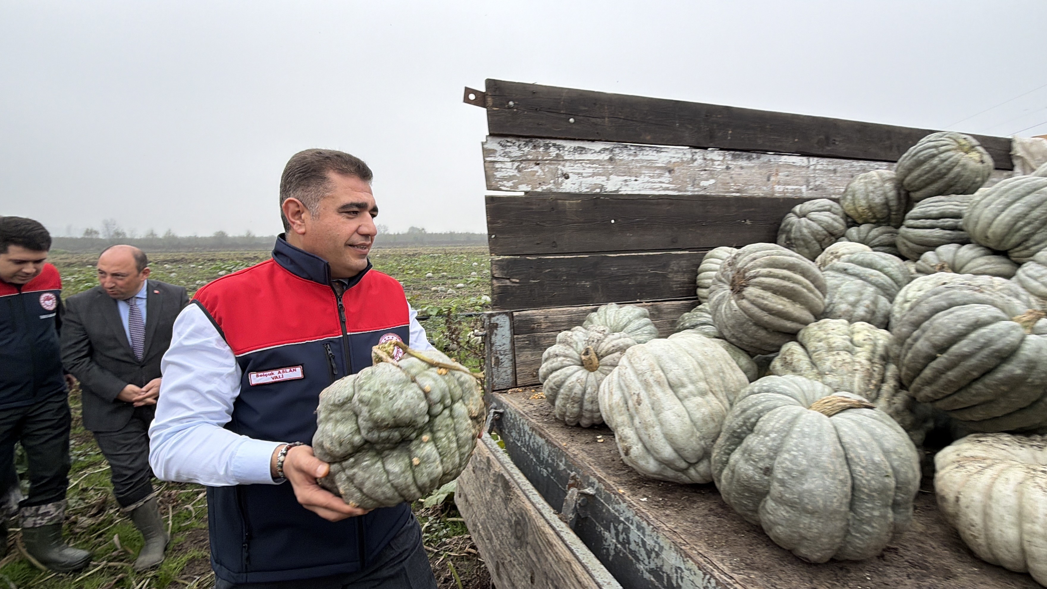 Kestane Kabağı (5)