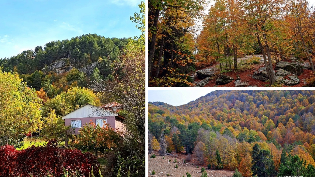 Manset Tasarim 20251103 154914 0000