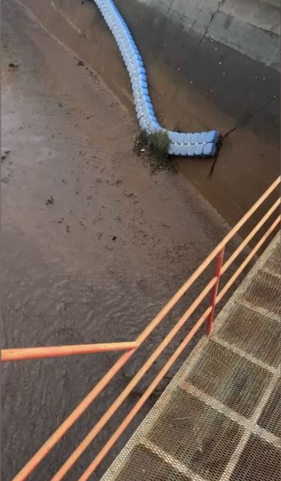 Osmaniye’de Baraj Felaketi, Yüzlerce Balık Telef Oldu (4)