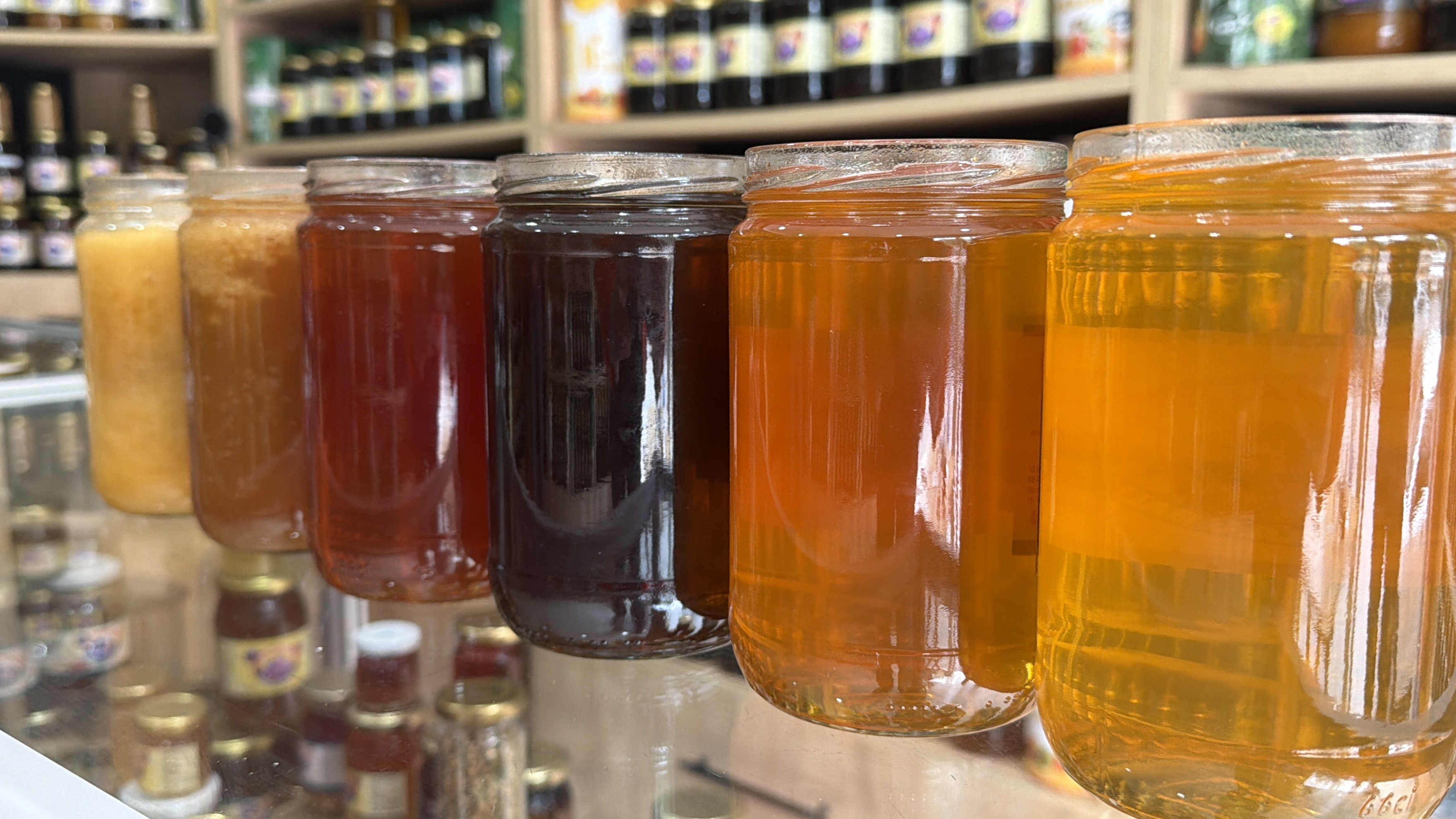 Sahte Bal Uyarısı (1)