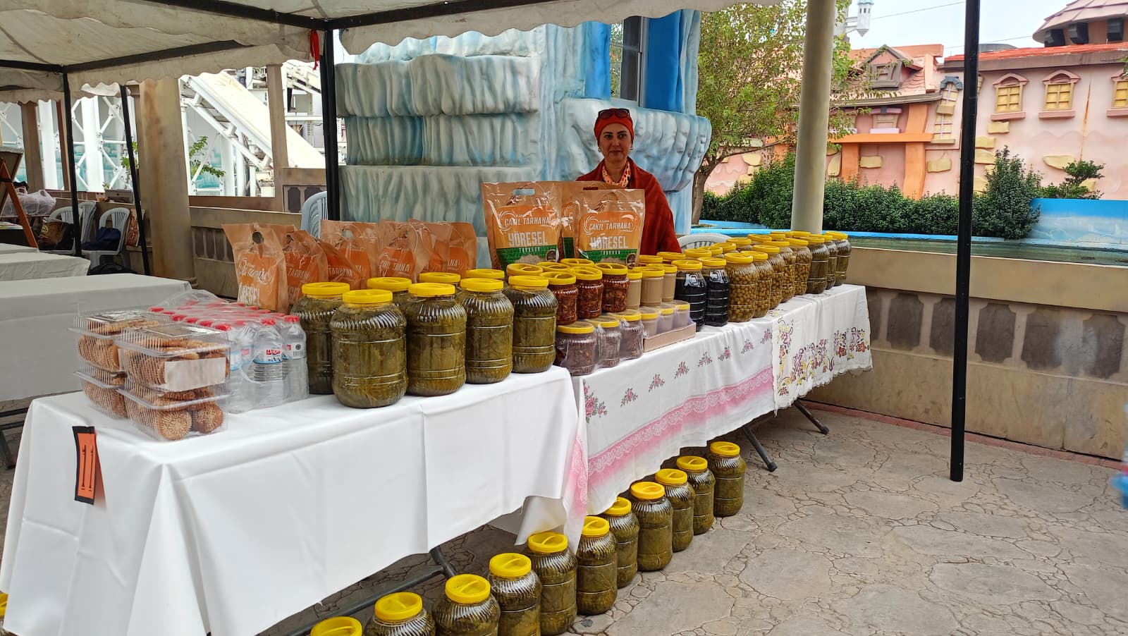 Şiddete Karşı Turuncu Adımlar Yürüyüşü Ve Hanımeli Lansmanı (4)