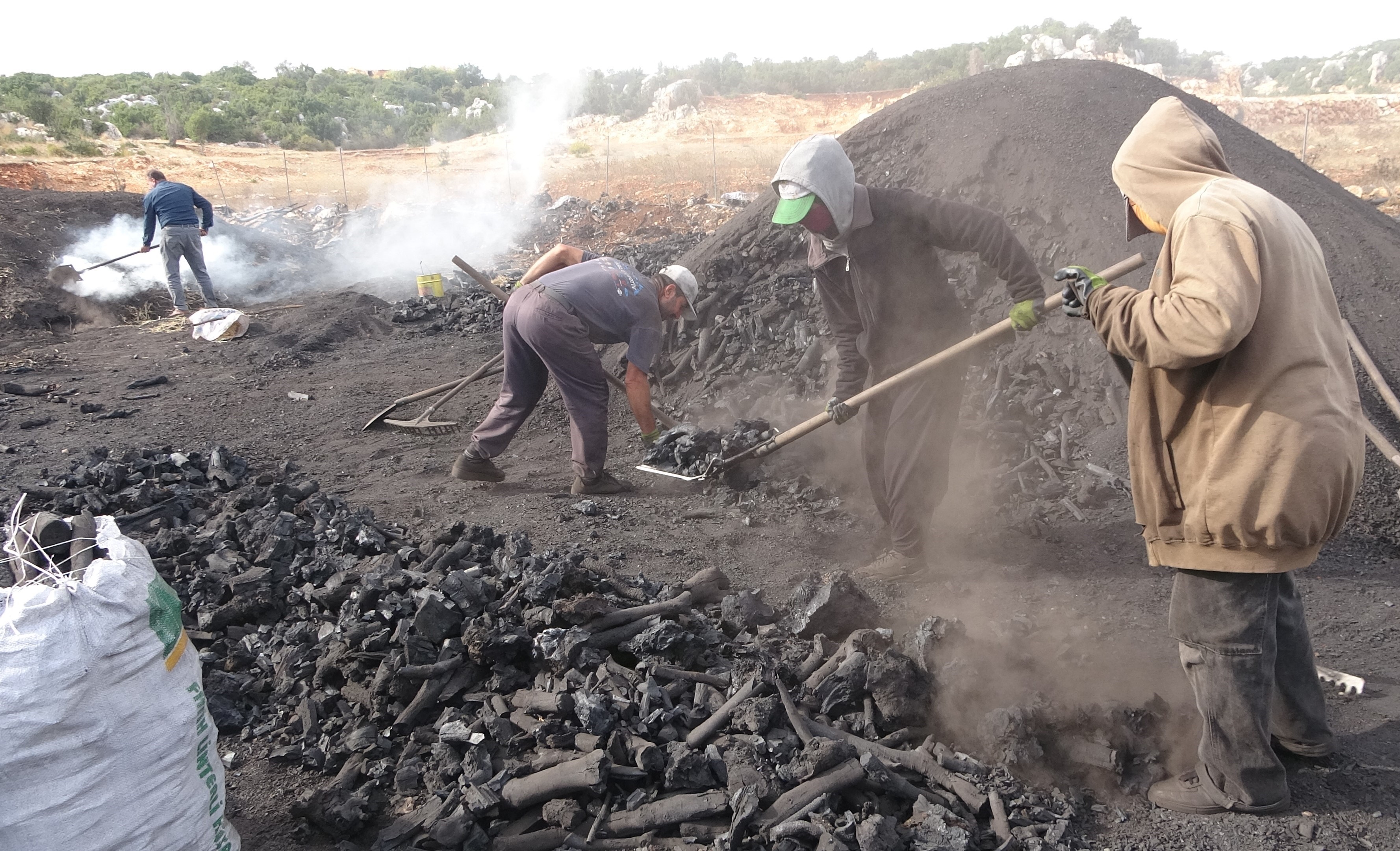 Toros Dağlarının Kara Elması Ailelerin Zorlu Mesaisi (1)