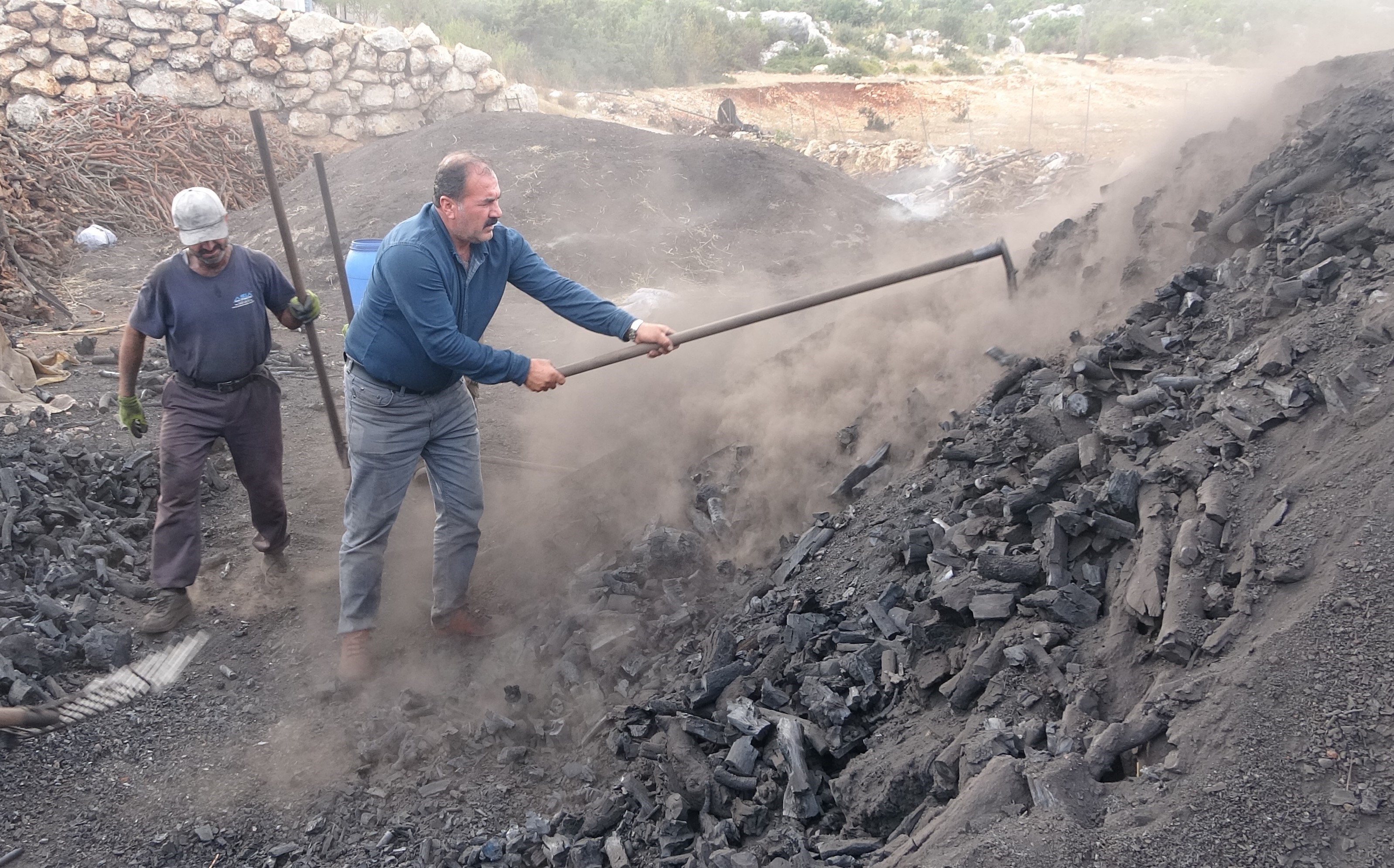 Toros Dağlarının Kara Elması Ailelerin Zorlu Mesaisi (3)
