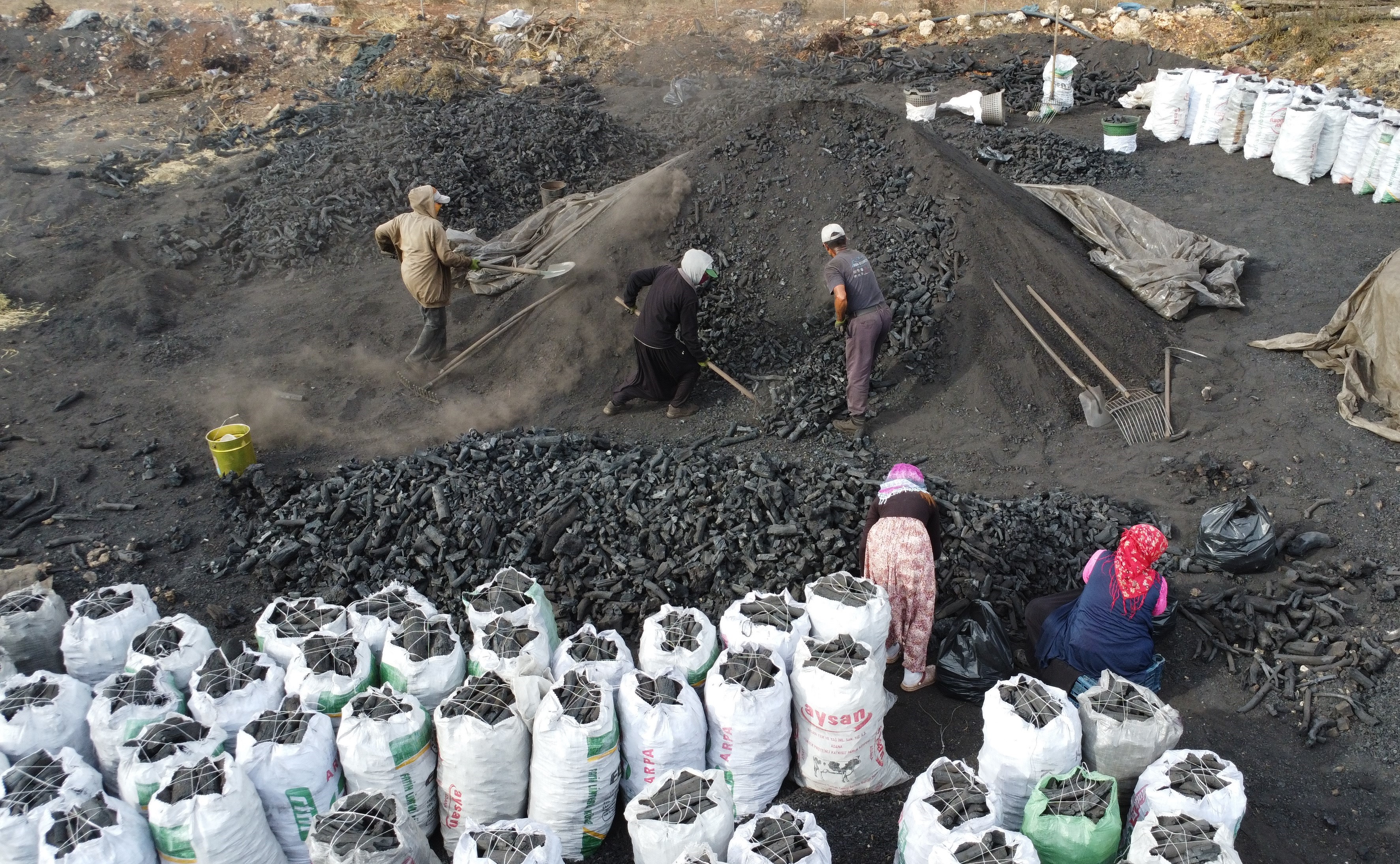 Toros Dağlarının Kara Elması Ailelerin Zorlu Mesaisi (4)