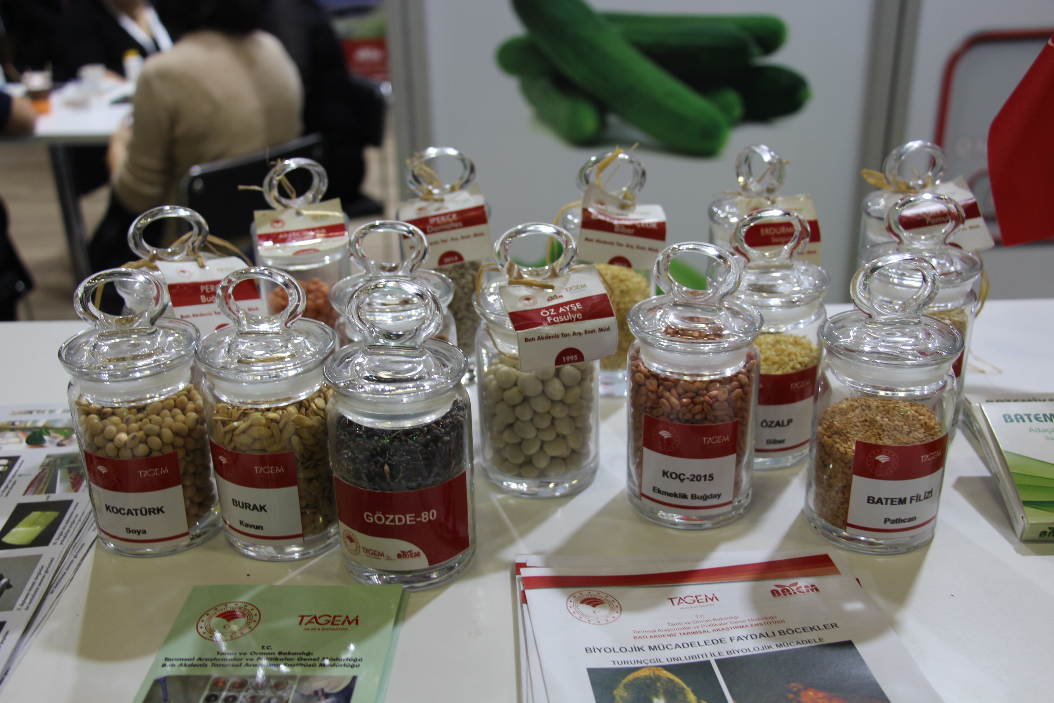 Türk Tohumları Dünya Liderlerini Solladı; 121 Ülkeye İhracat (2)