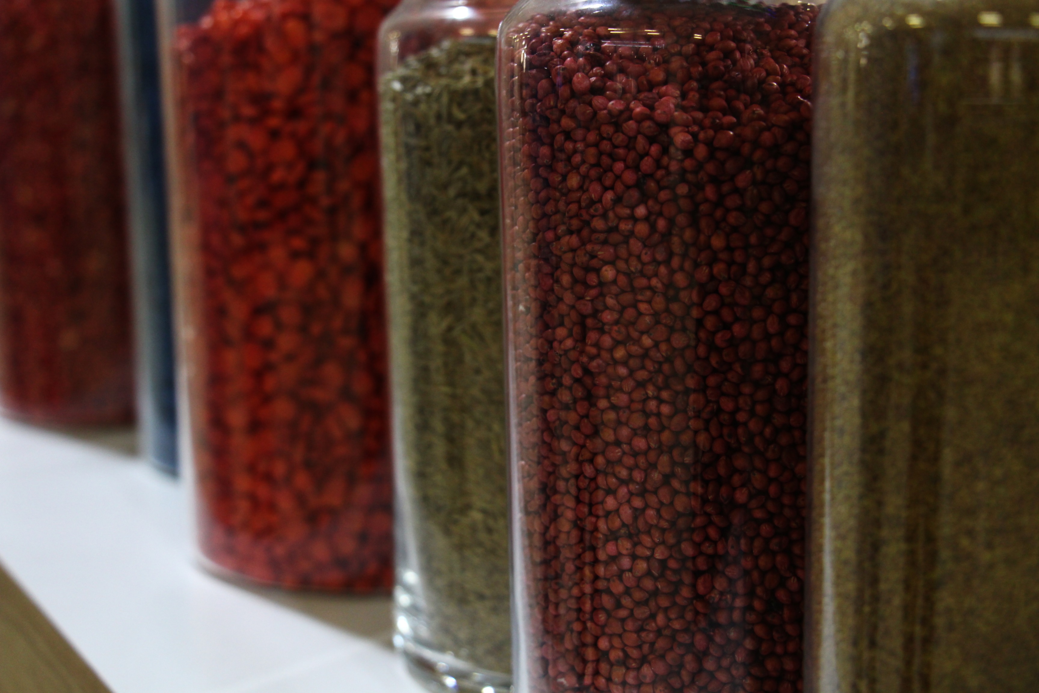 Türk Tohumları Dünya Liderlerini Solladı; 121 Ülkeye İhracat (3)