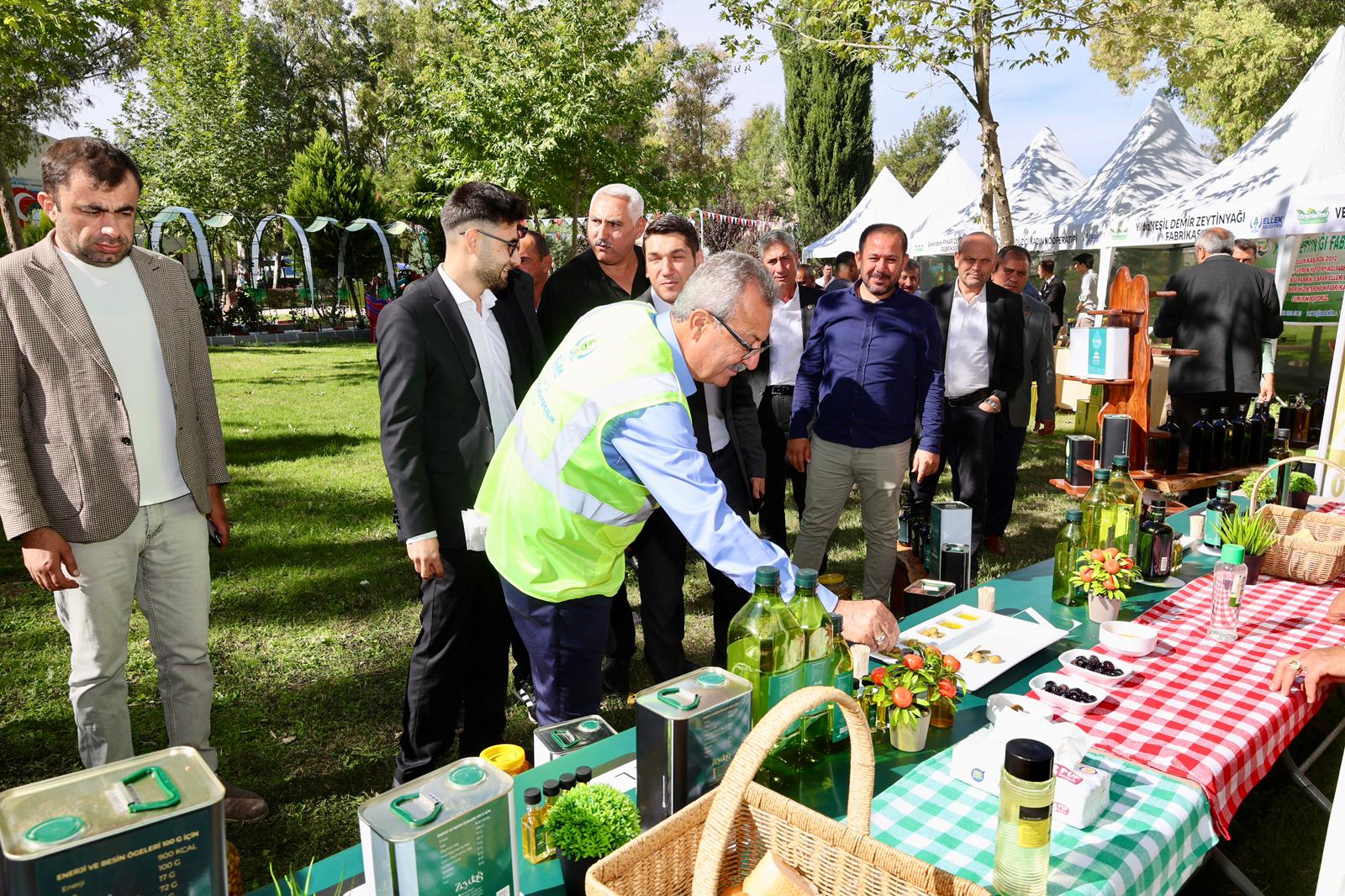 yeşil altın zeytin
