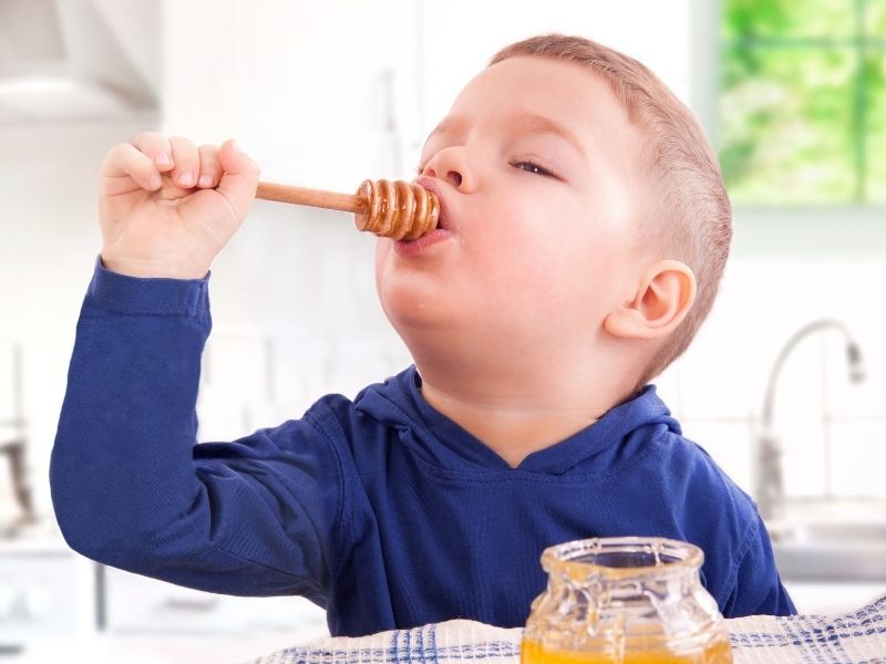 çocuklarda propolis kullanımı