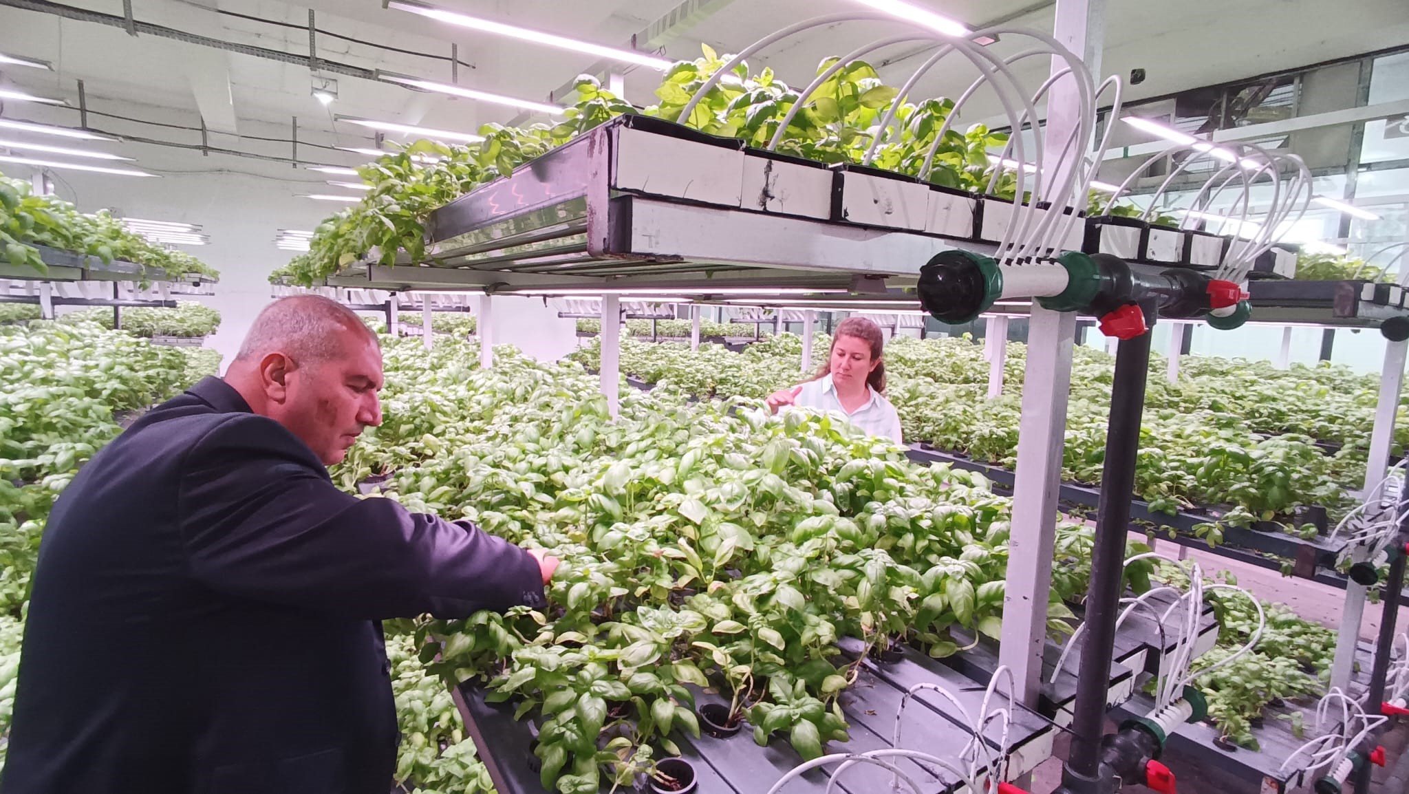 30 Milyonluk Dikey Tarım Yüzde 95 Su Tasarrufu (3)