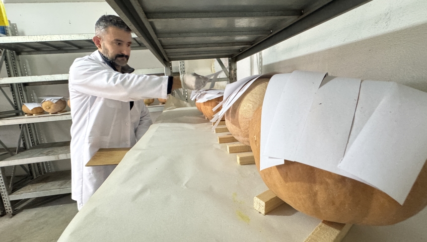 Antalya’da 6 Milyon Faydalı Böcek Narenciyeyi Koruyor (1)