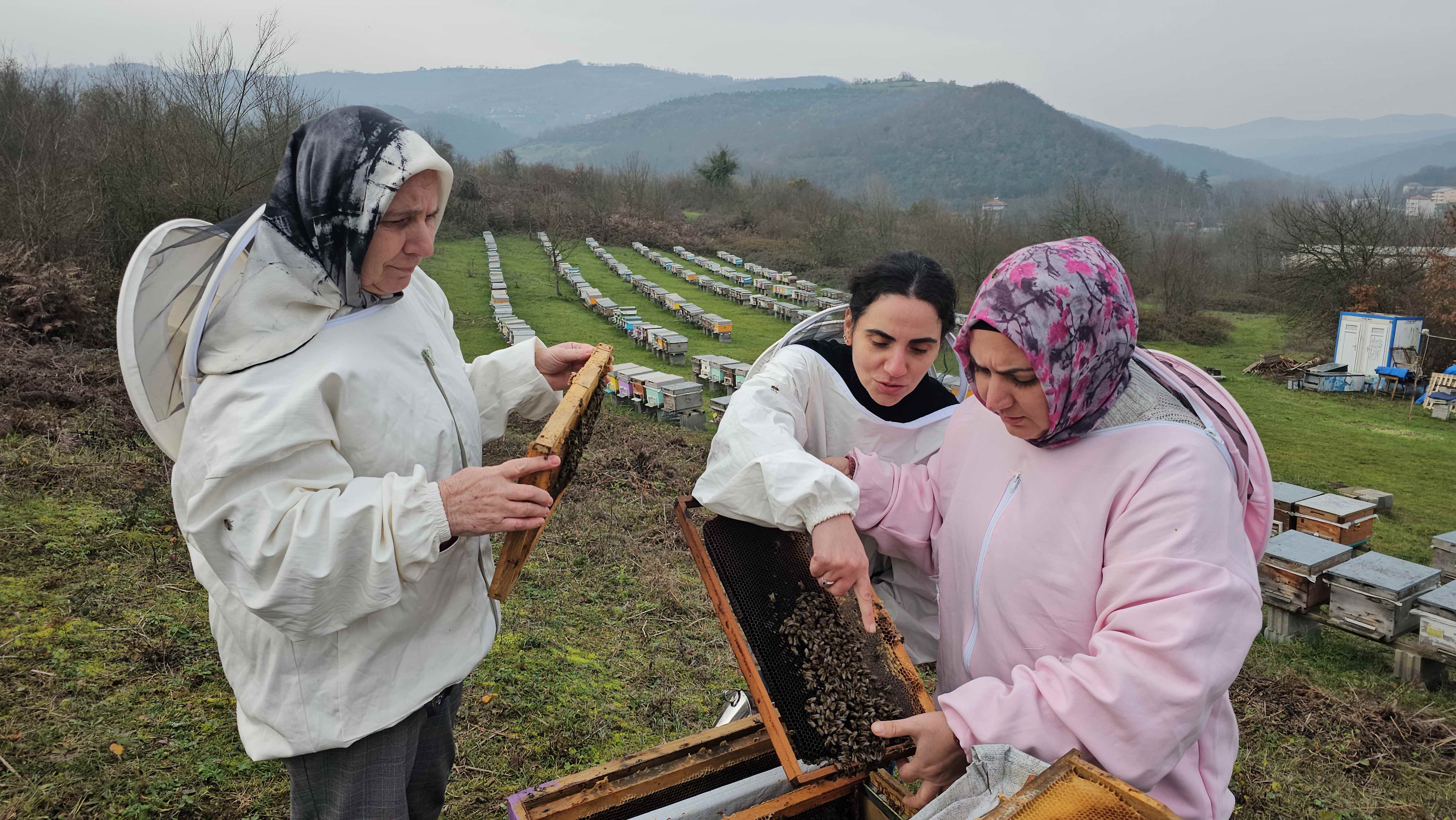 Arıcılıkta Kadın Mirası 3 Kuşak Kestane Balı Üretiyor-1