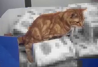 Artan Gıda Zehirlenmelerinde Yeni Risk (2)