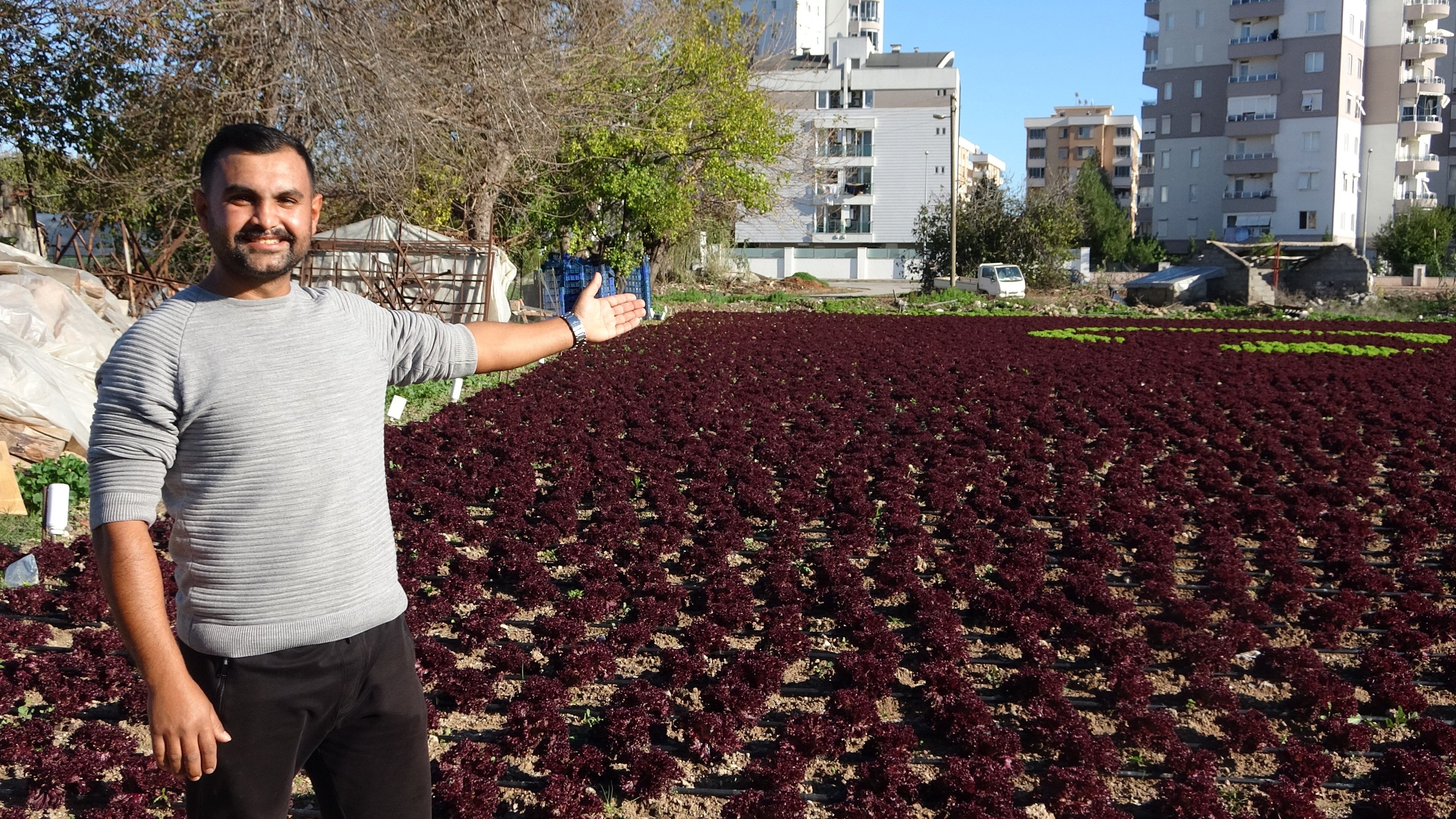 Çiftçiler 1,5 Dönüme 13 Bin Fidanla Tarlaya Türk Bayrağı (5)