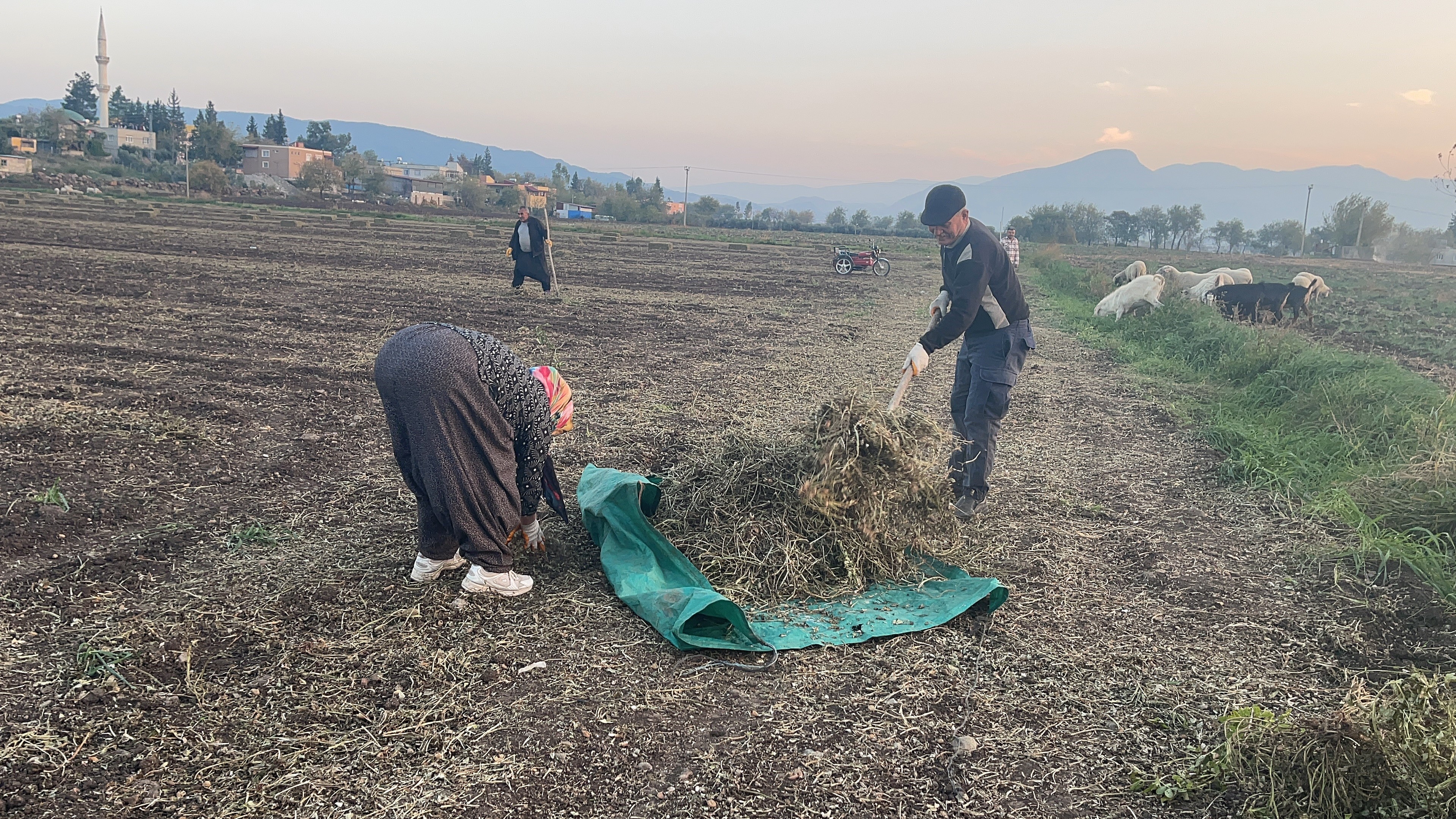 Çiftçiye İki Büyük Gelir Kapısı (1)