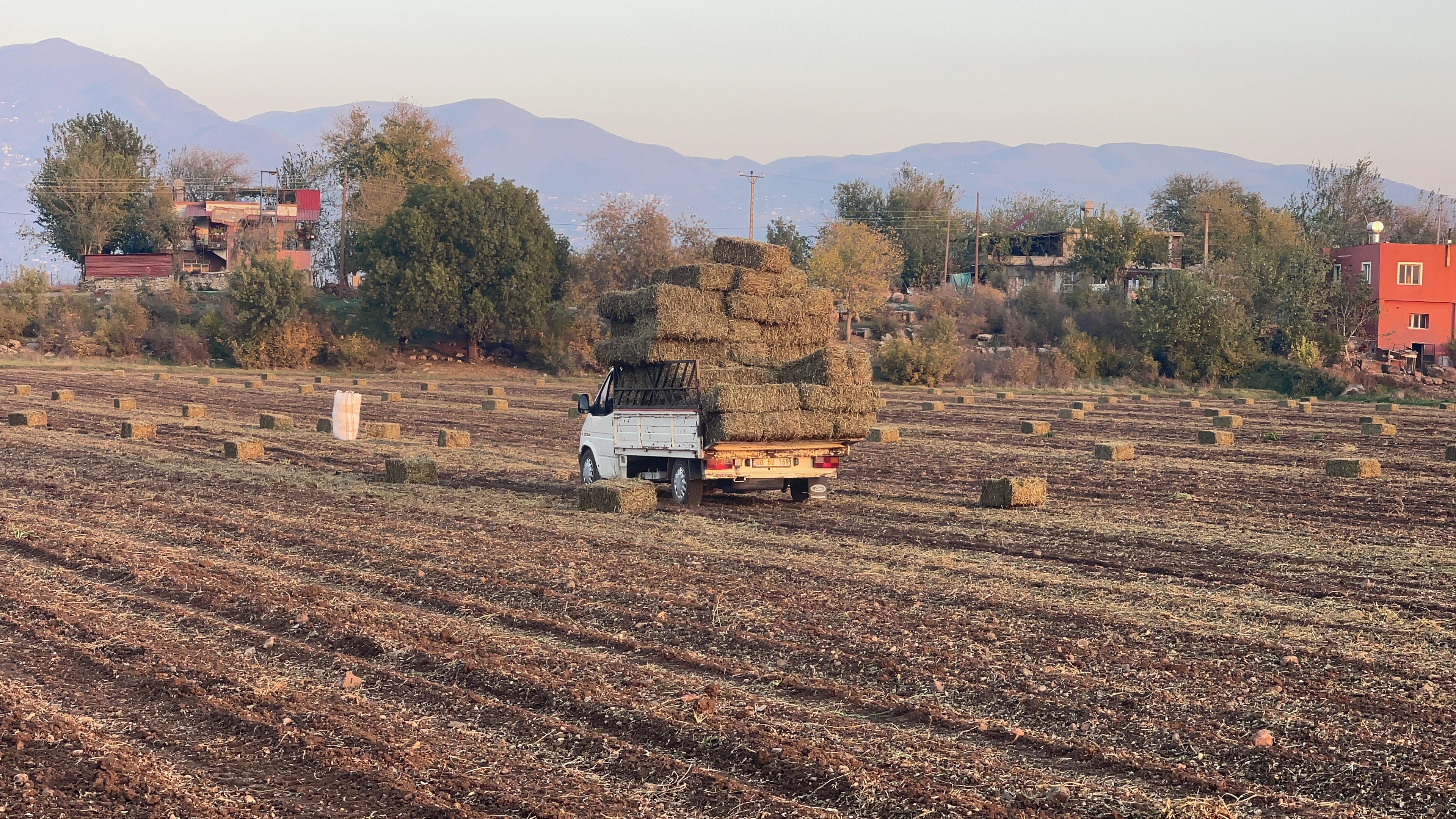 Çiftçiye İki Büyük Gelir Kapısı (3)