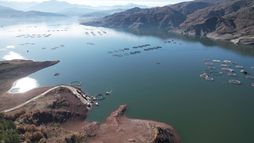 Deniz Yok Ama Somon'u Uluslararası Pazarda Rağbet Görüyor (1)