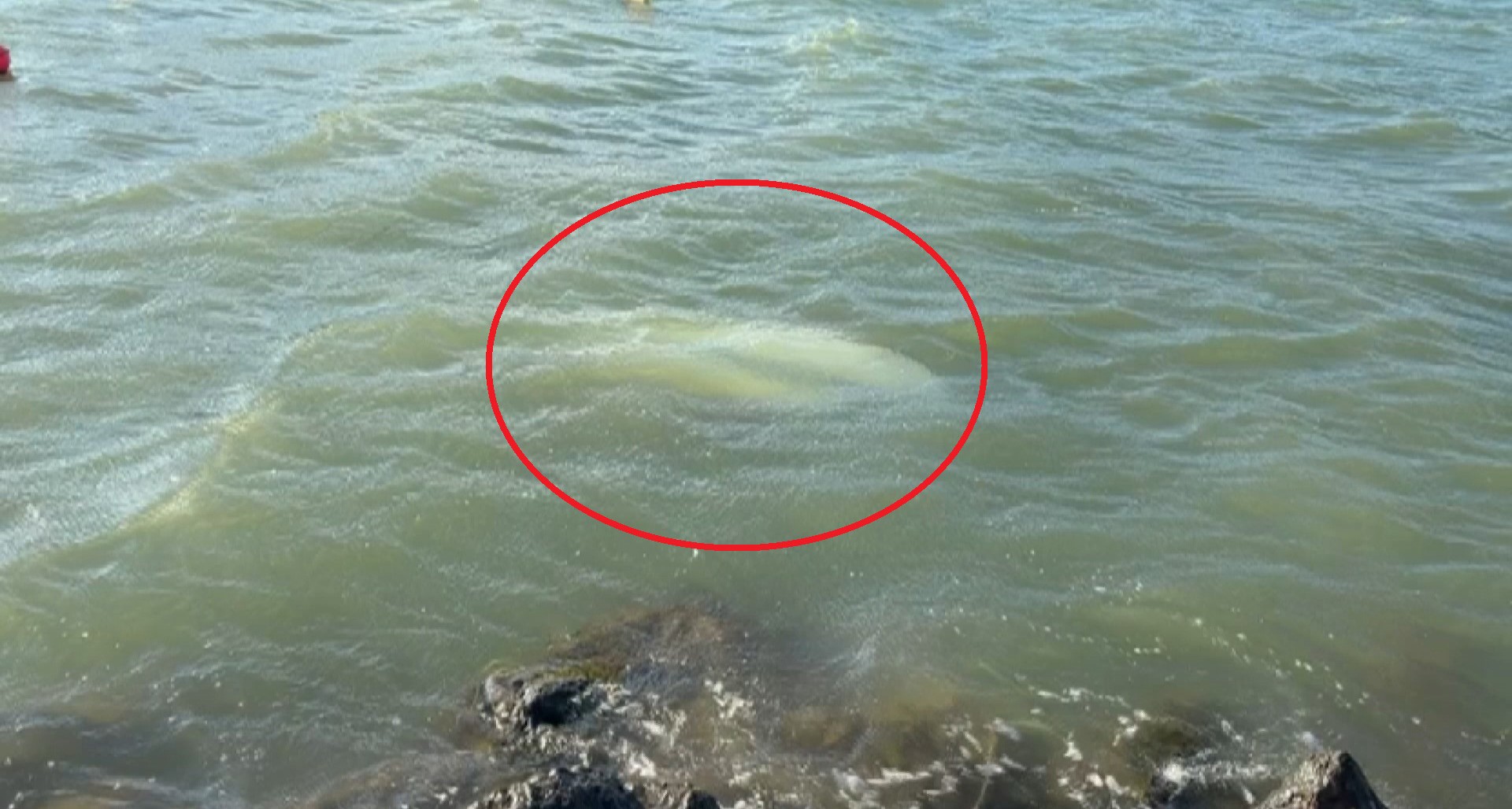 Dev Dalgalar 3 Tekneyi Batırdı (1)