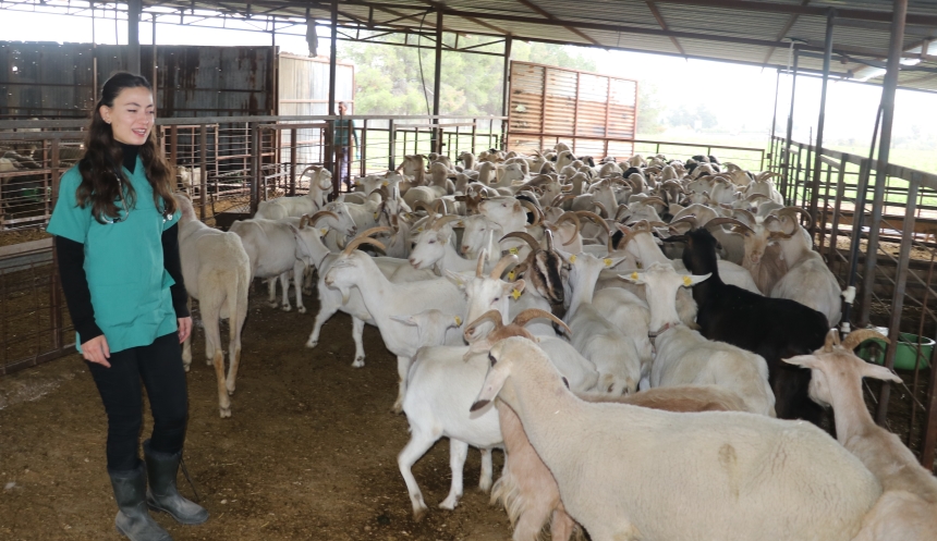 Devlet Desteğiyle Kurduğu Sürüyü İki Katına Çıkardı (1)