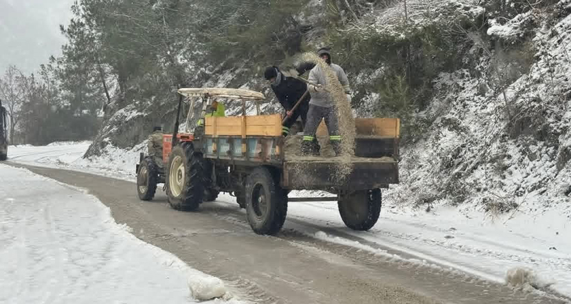 Duzici Karla Mucadele Koy Yollari2
