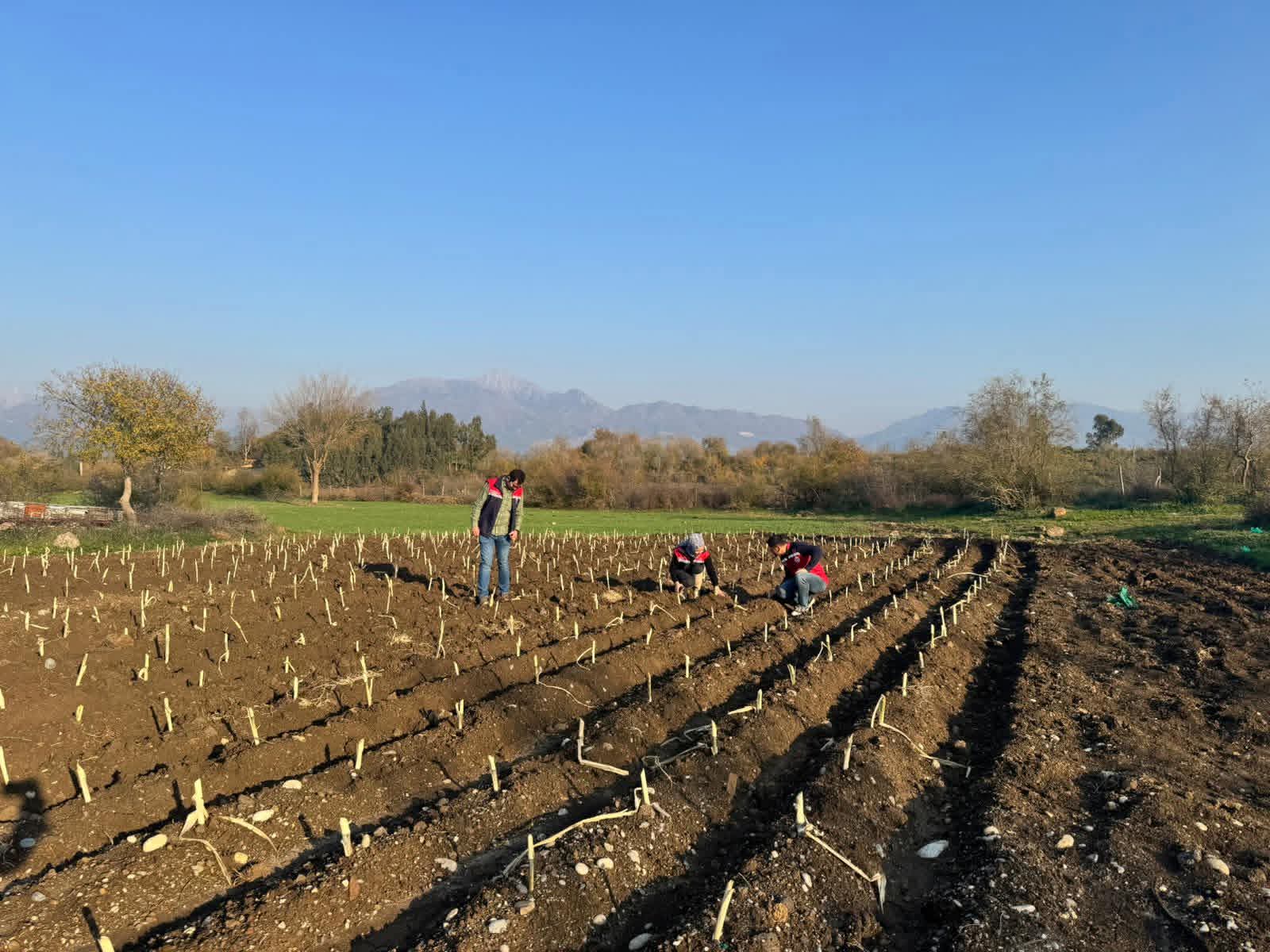 Osmaniye'de tohumlar filizlendi